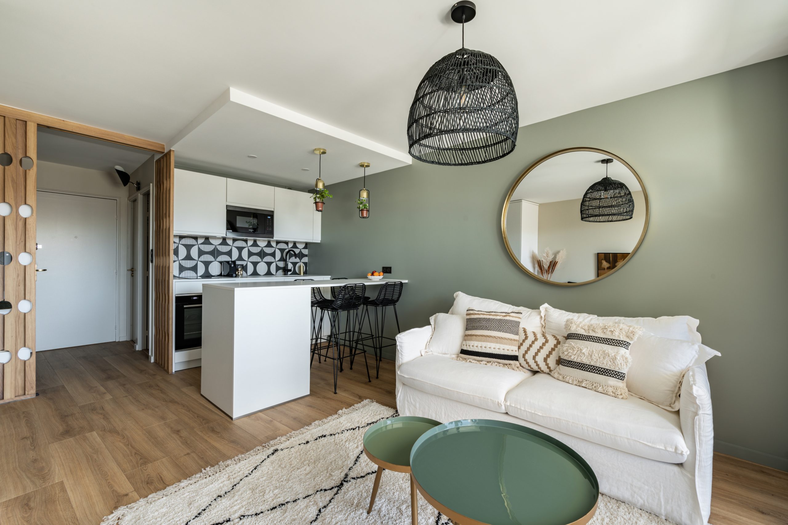 salon et cuisine décoration contemporaine