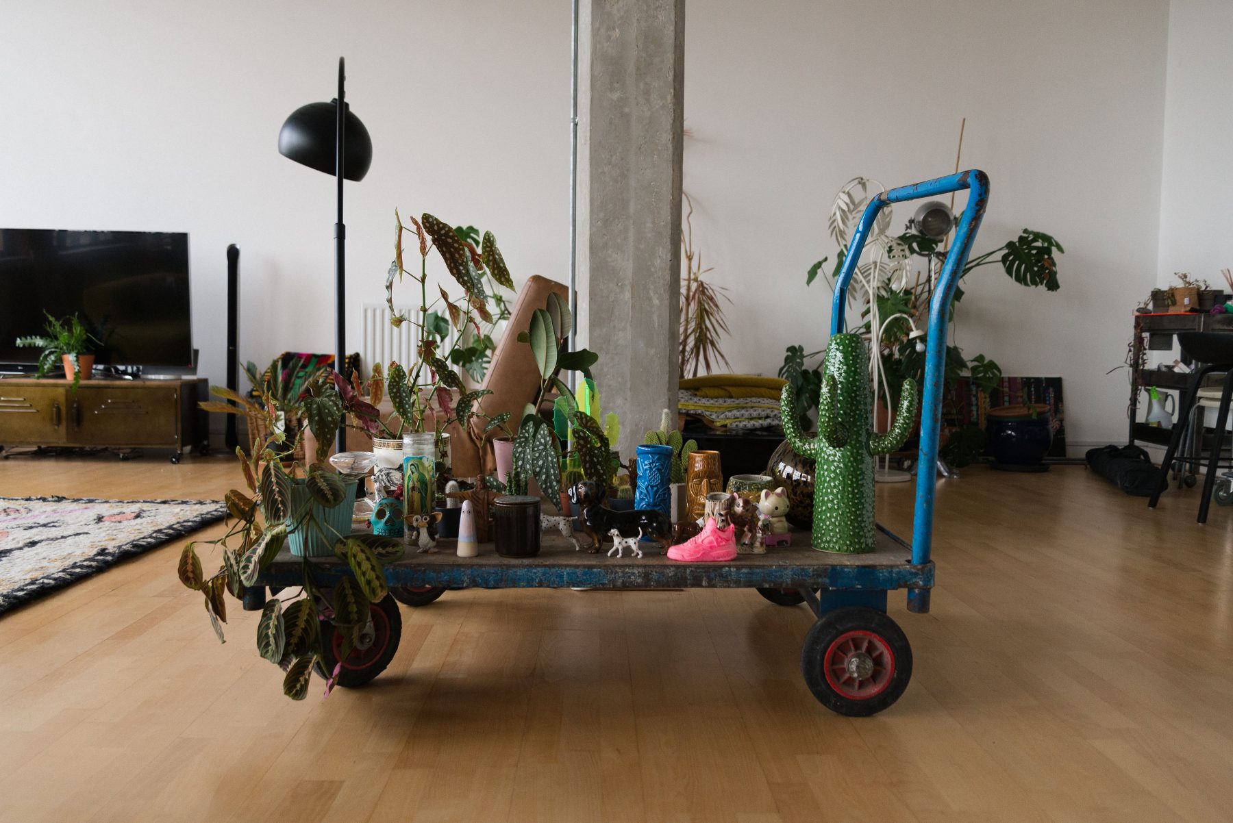 salon avec plantes vertes salon avec plantes vertes