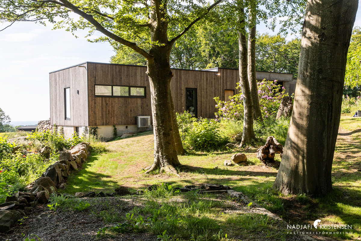 maison design en bois