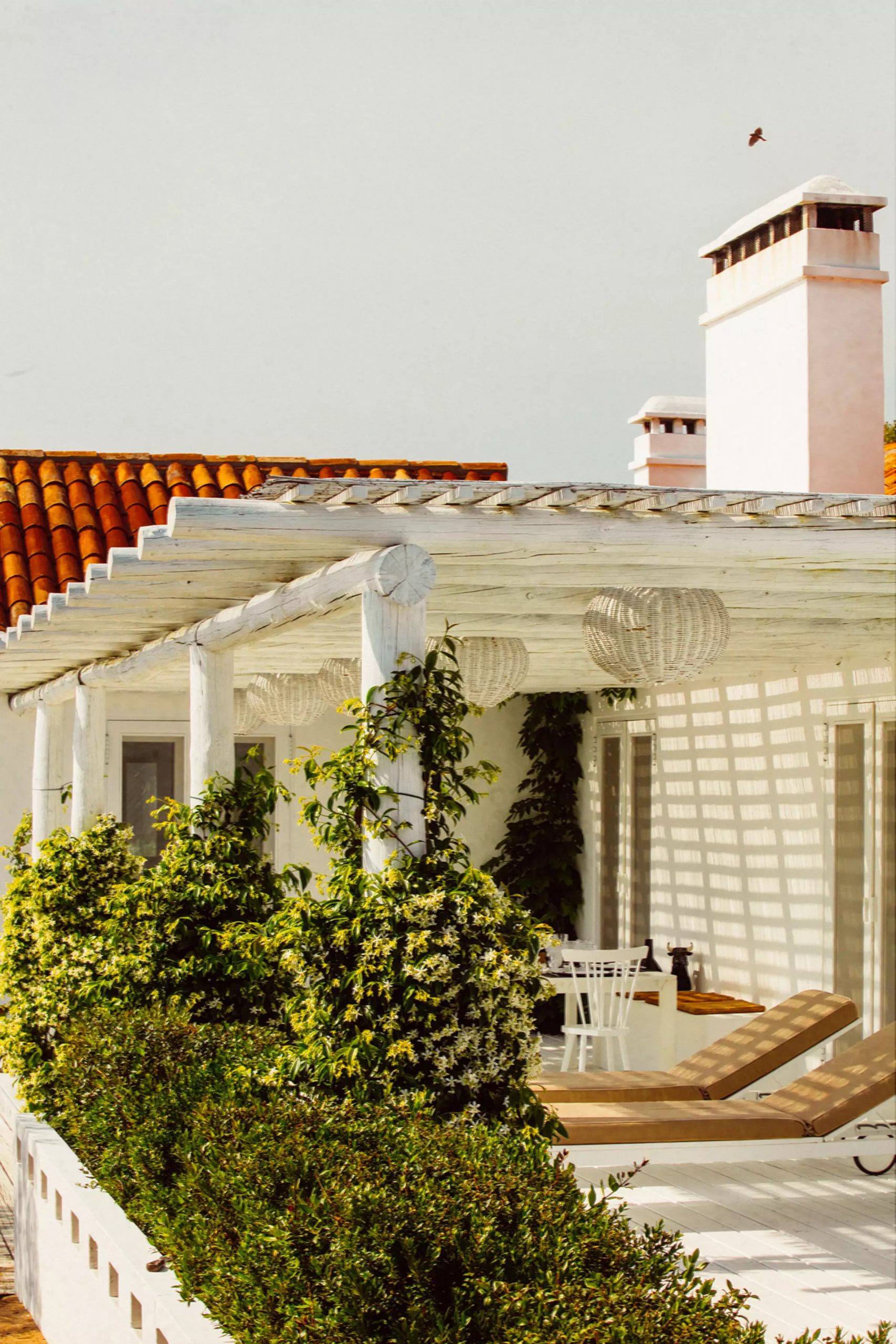 terrasse avec pergola bois