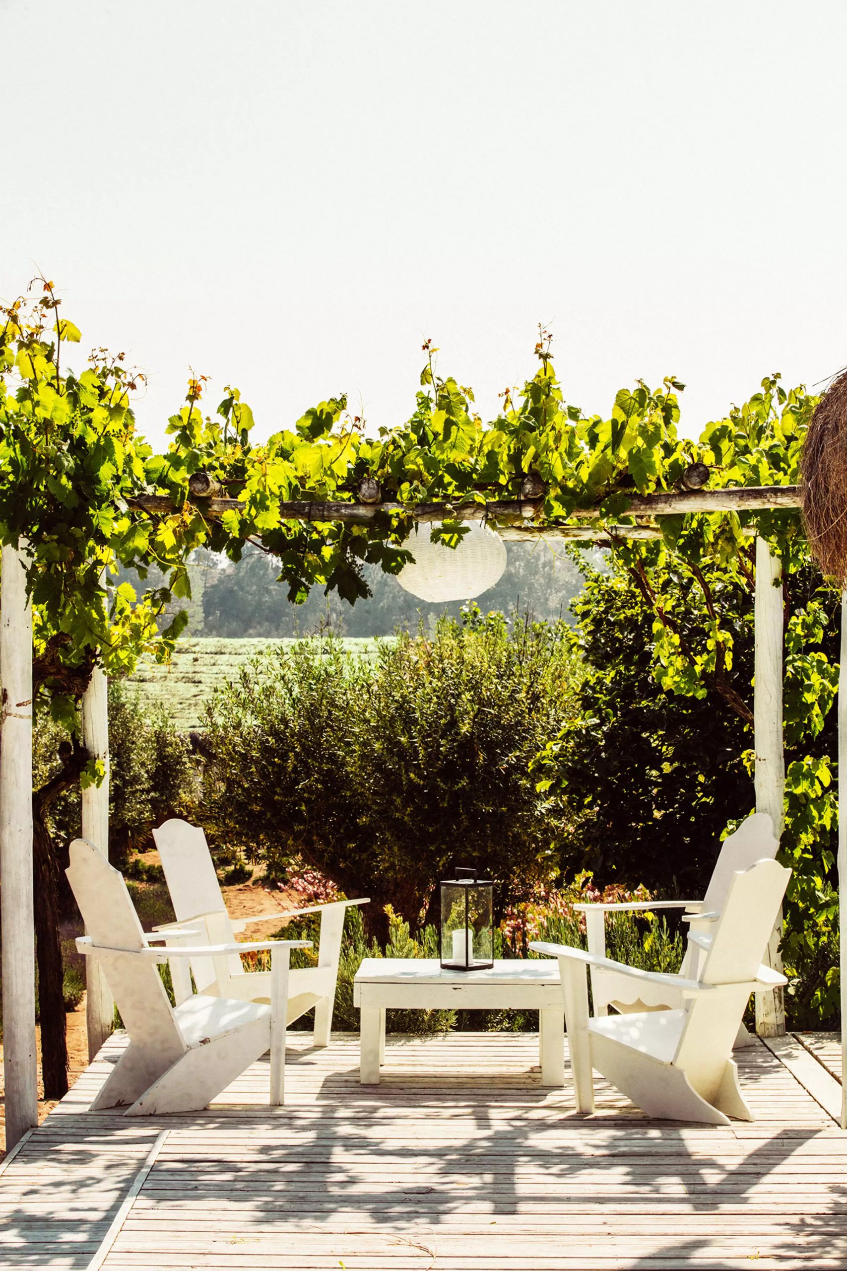 terrasse avec pergola et treille