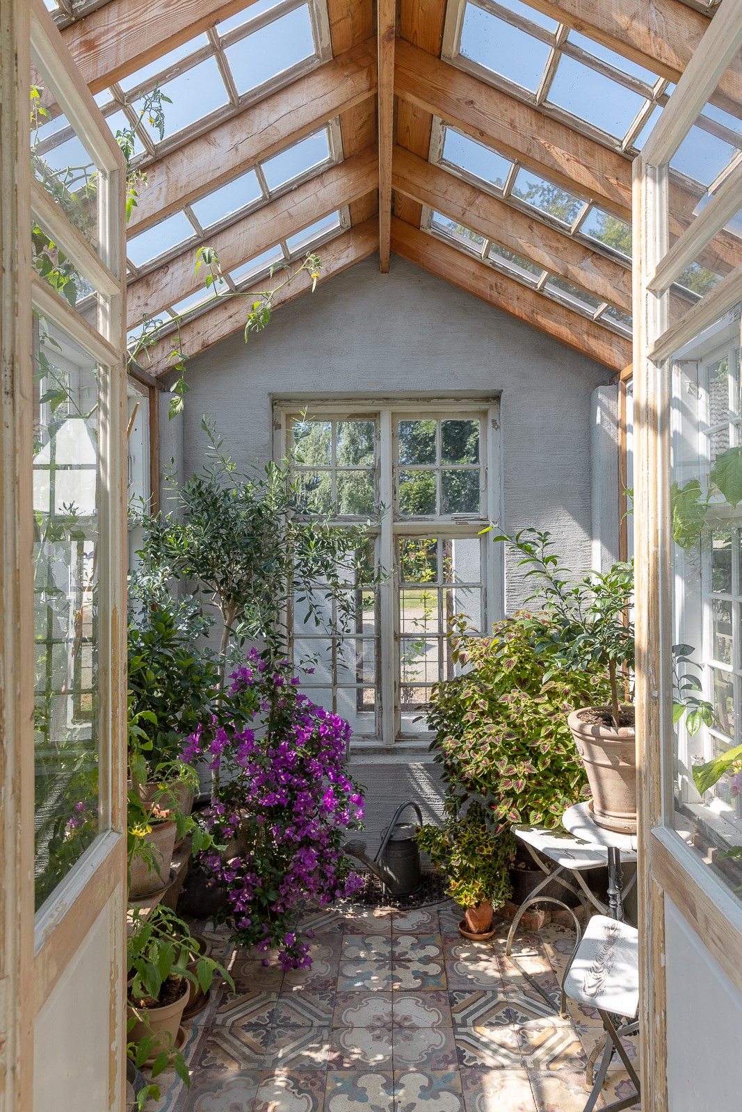 jardin d jardin d'hiver avec toit vitré