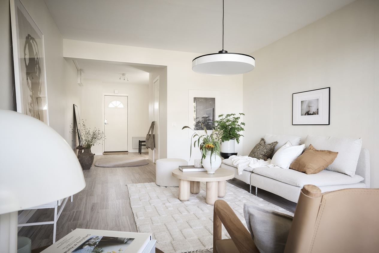 salon décoration épurée appartement deux-pièces