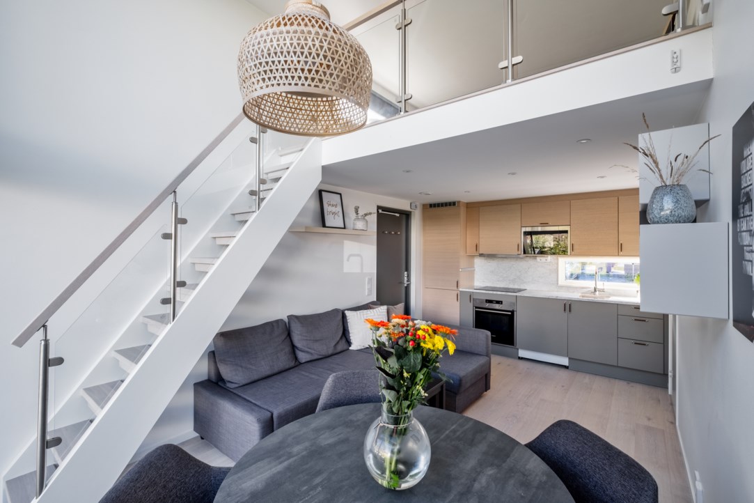 salon avec mezzanine mini maison 33m2