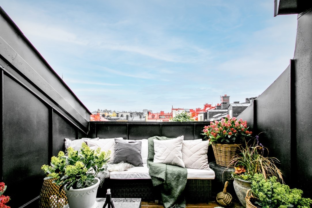 terrasse dans le toit