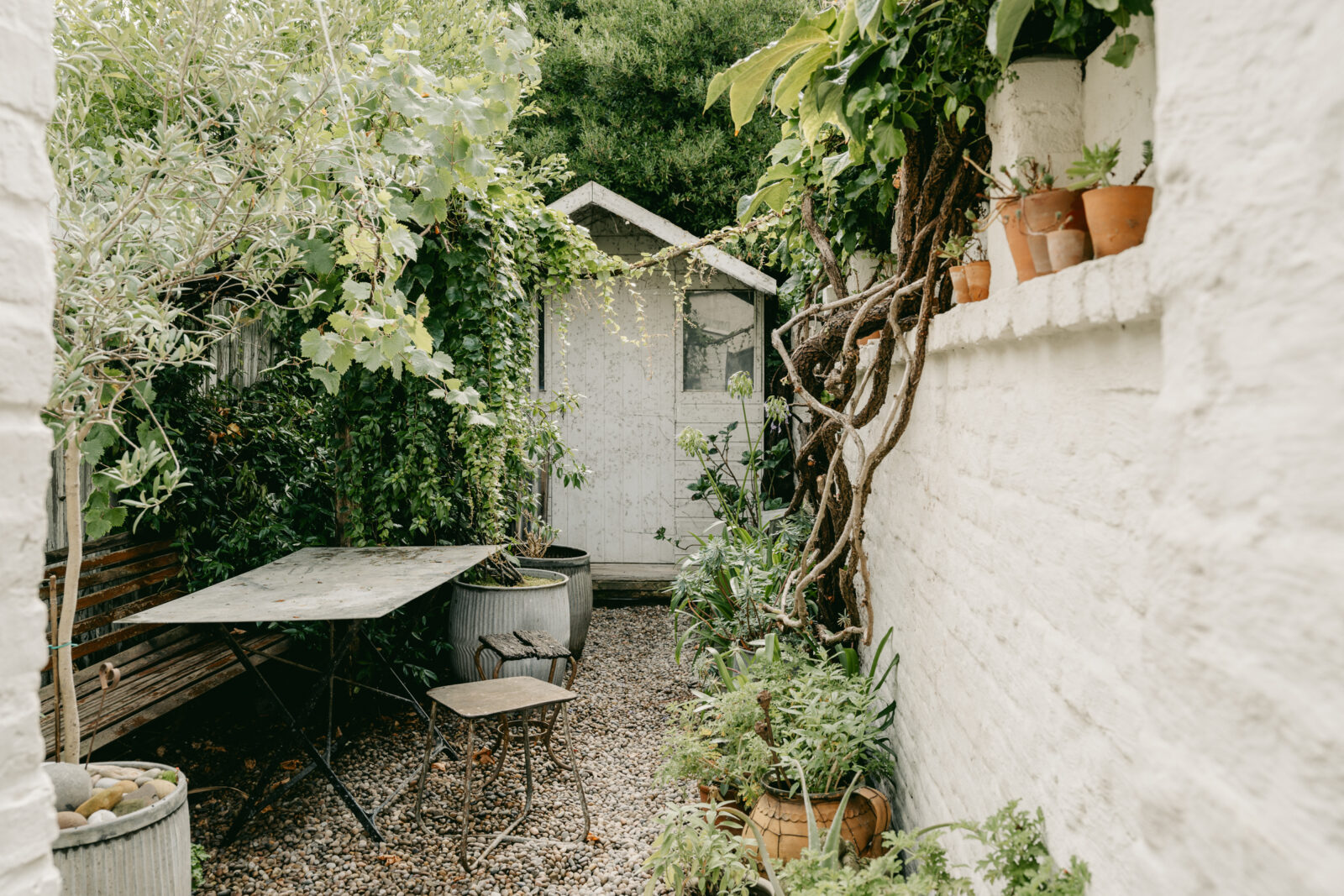 jardin maison de ville