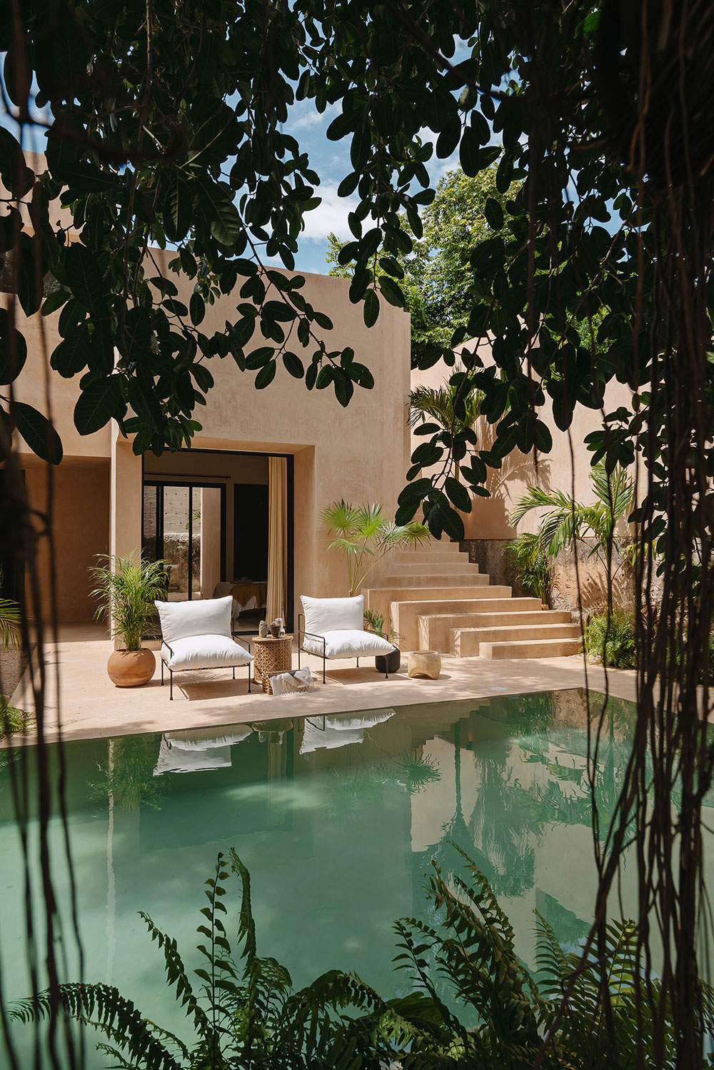 jardin avec piscine jardin avec piscine