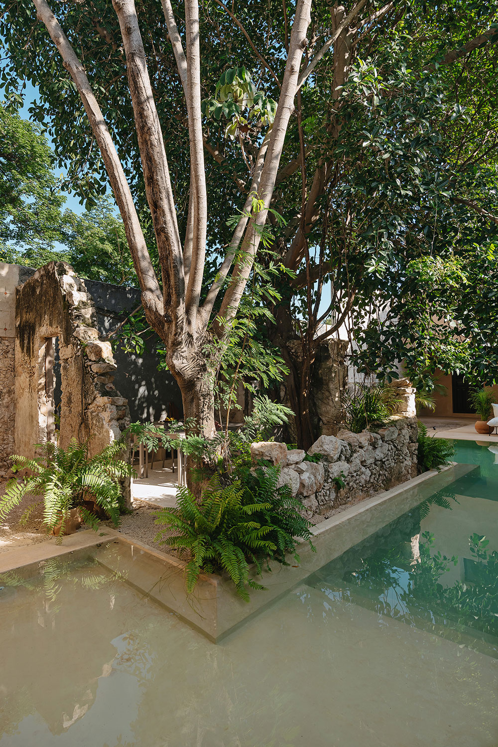 jardin avec piscine jardin avec piscine