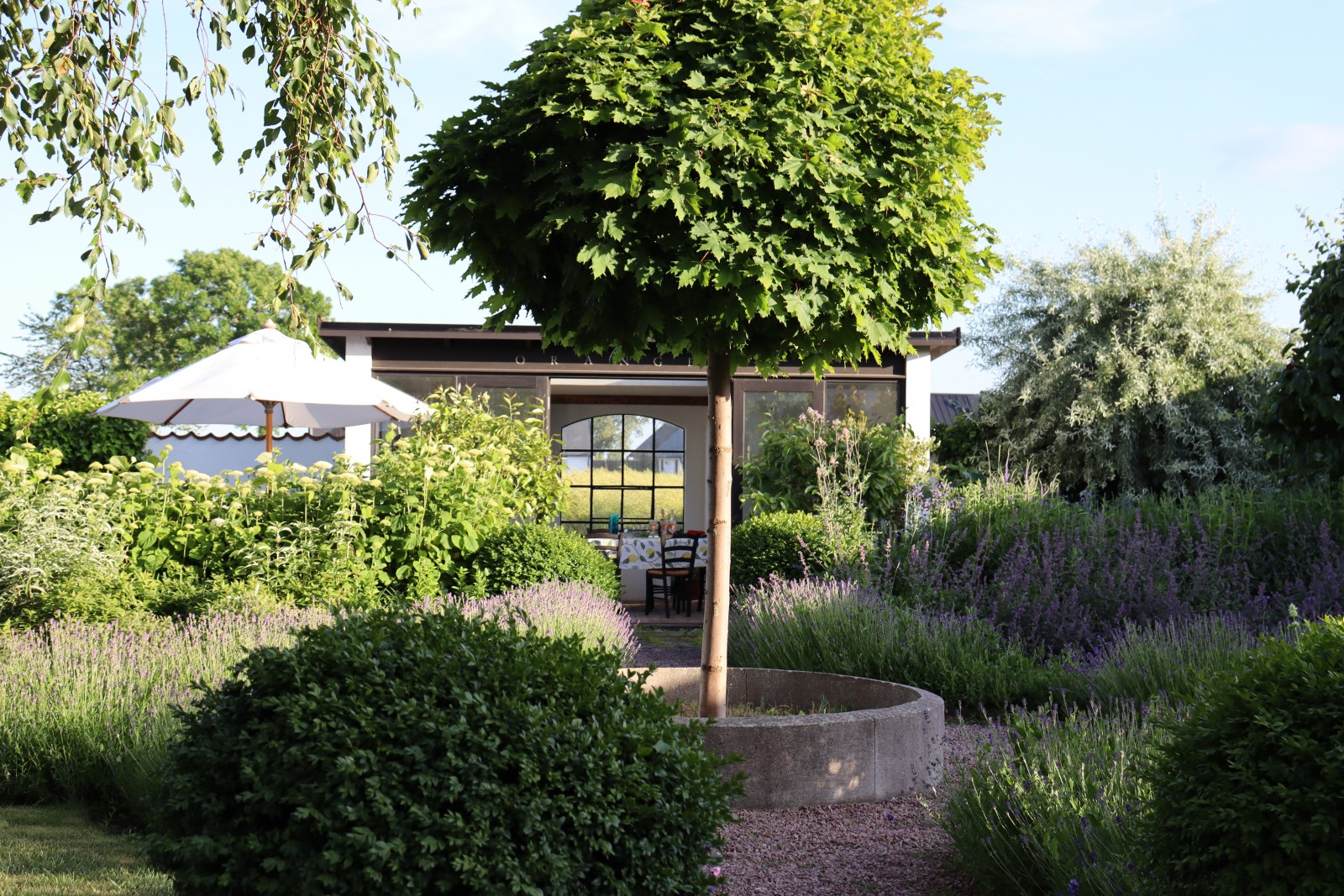jardin avec terrasse couverte jardin avec terrasse couverte