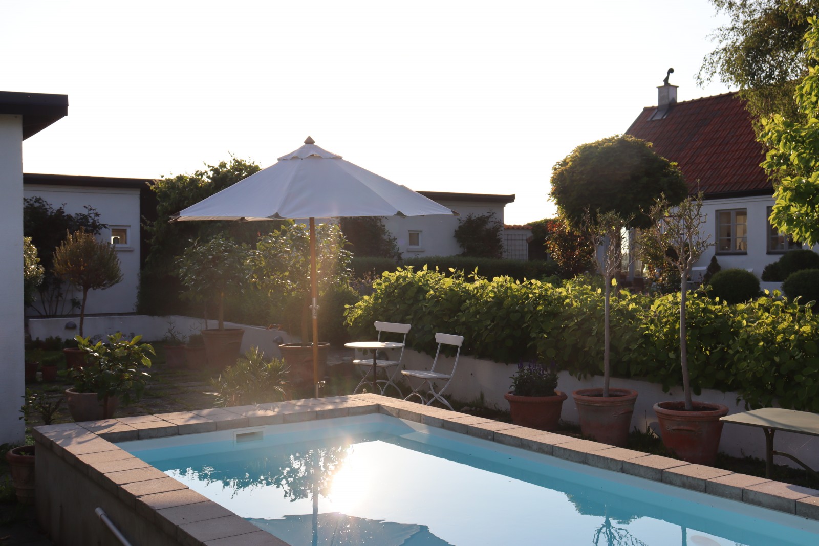 jardin avec piscine jardin avec piscine