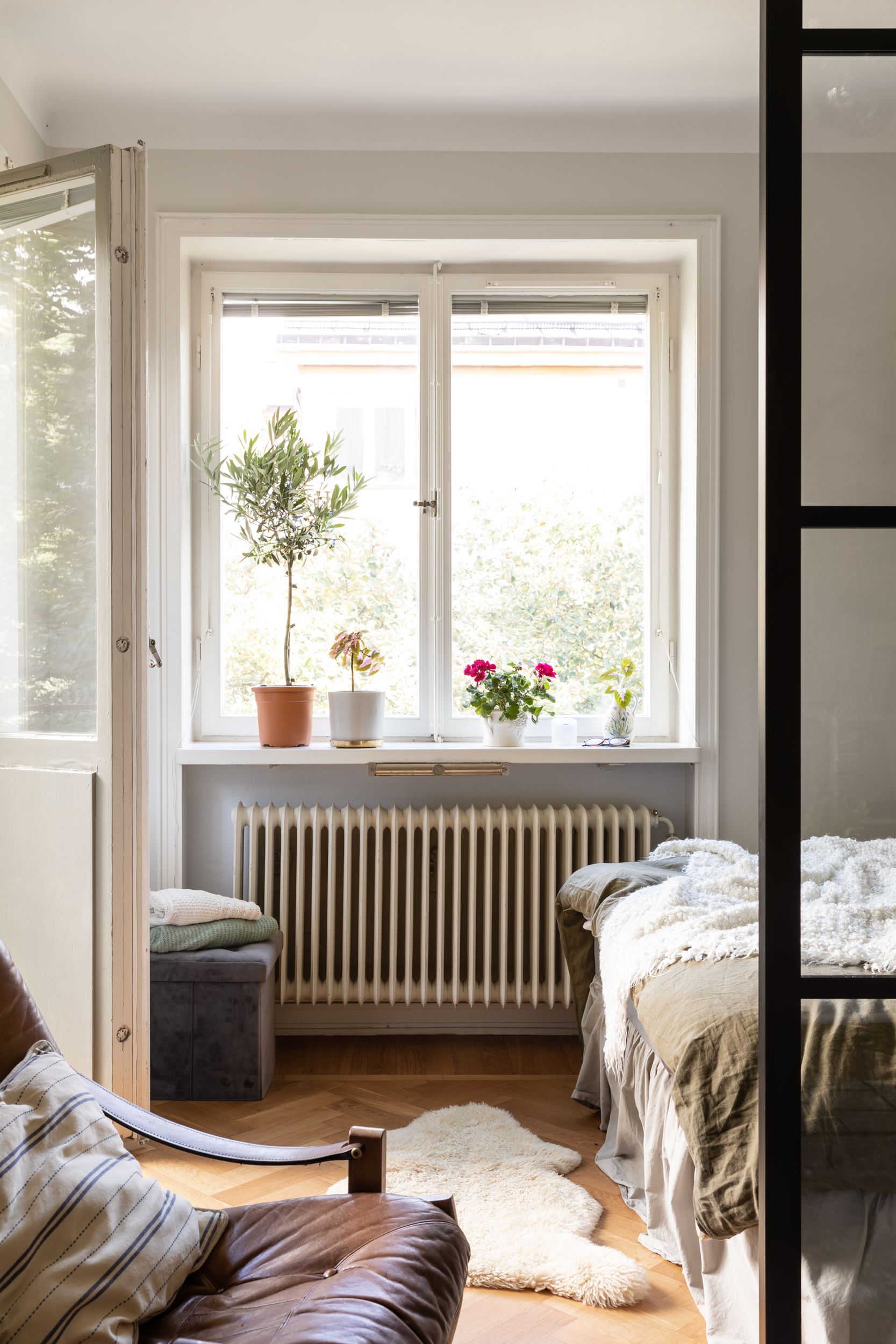 chambre avec verrière