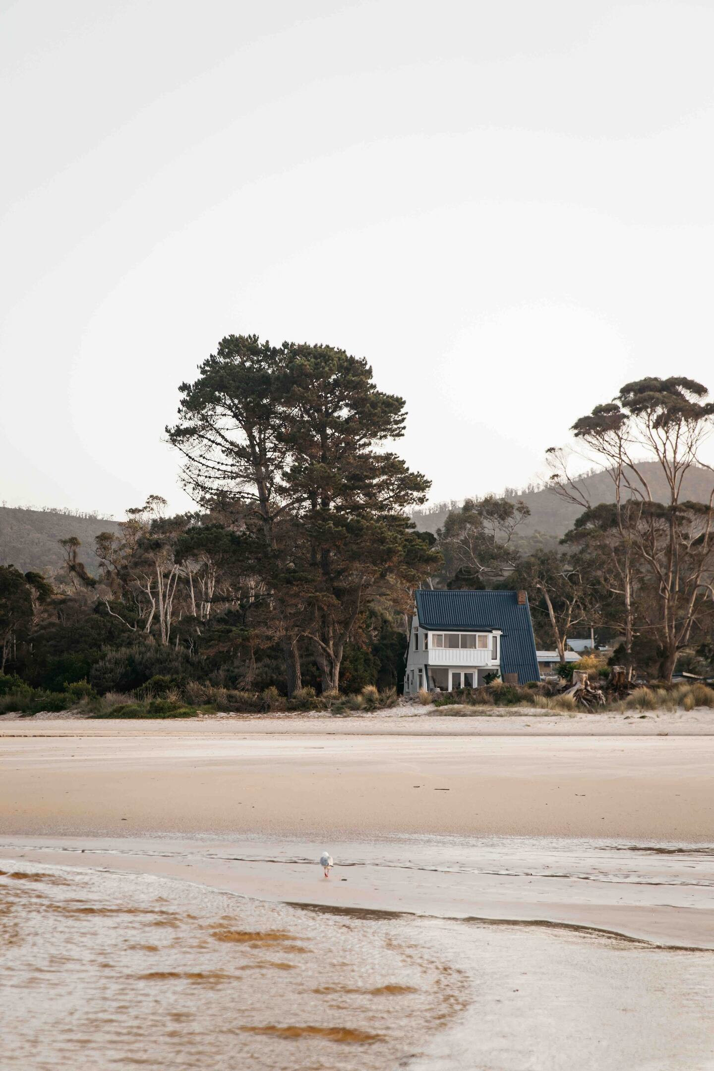 maison sur la plage maison sur la plage
