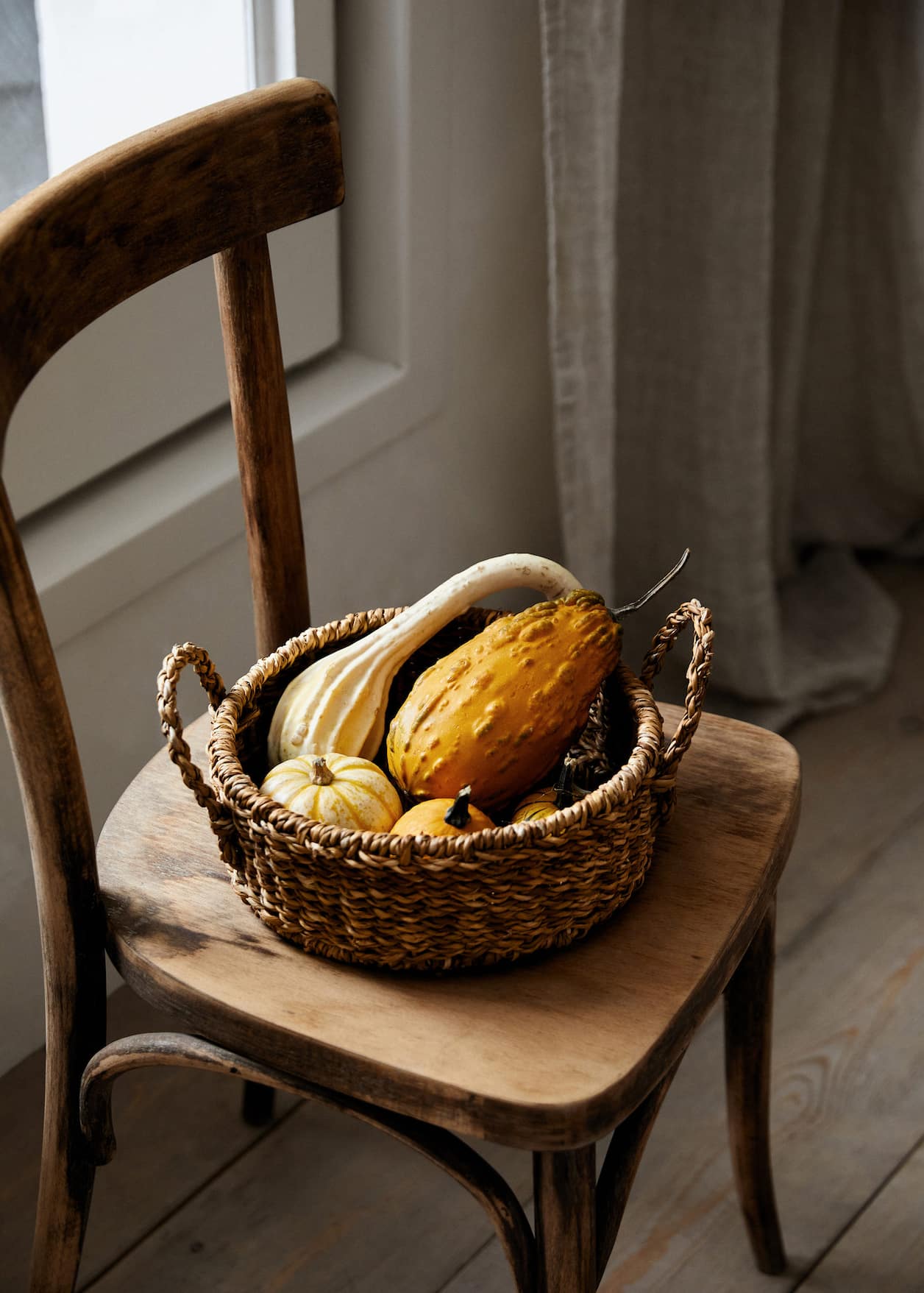 courges dans panier courges dans panier