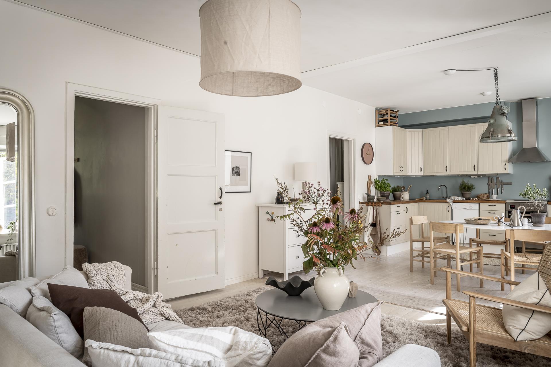 salon avec cuisine ouverte