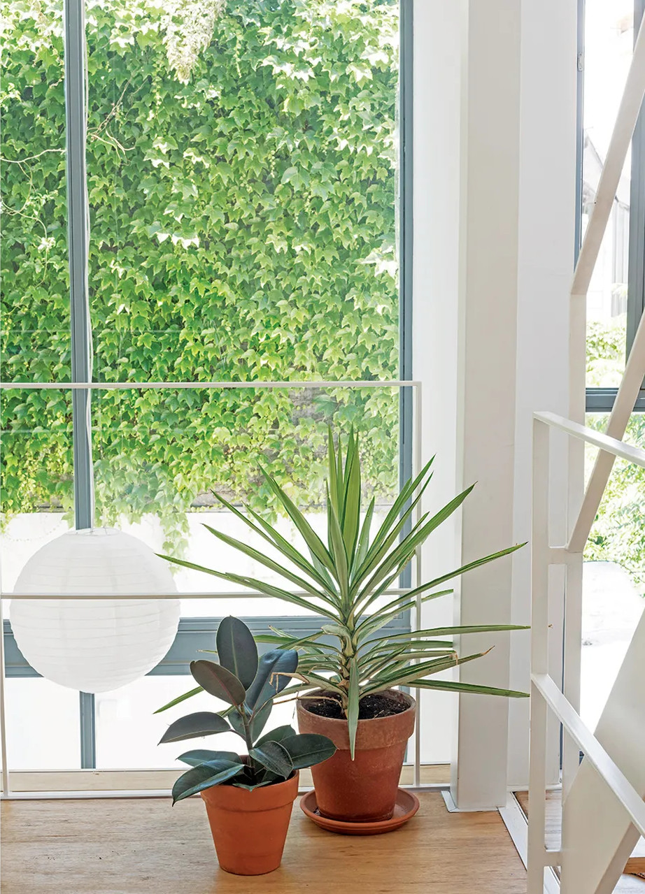 maison architecte avec baies vitrées