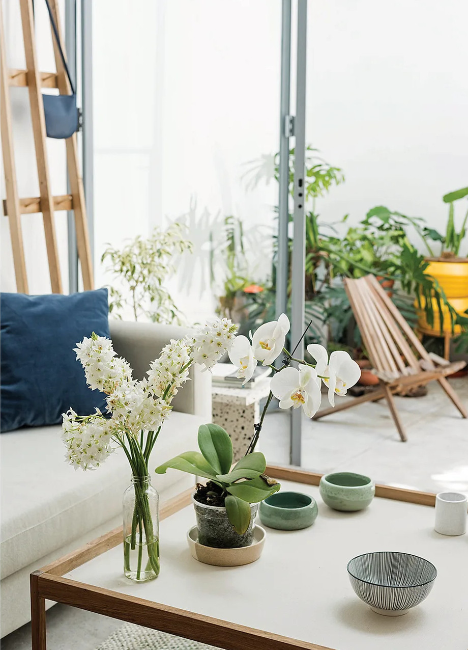 salon décoration design