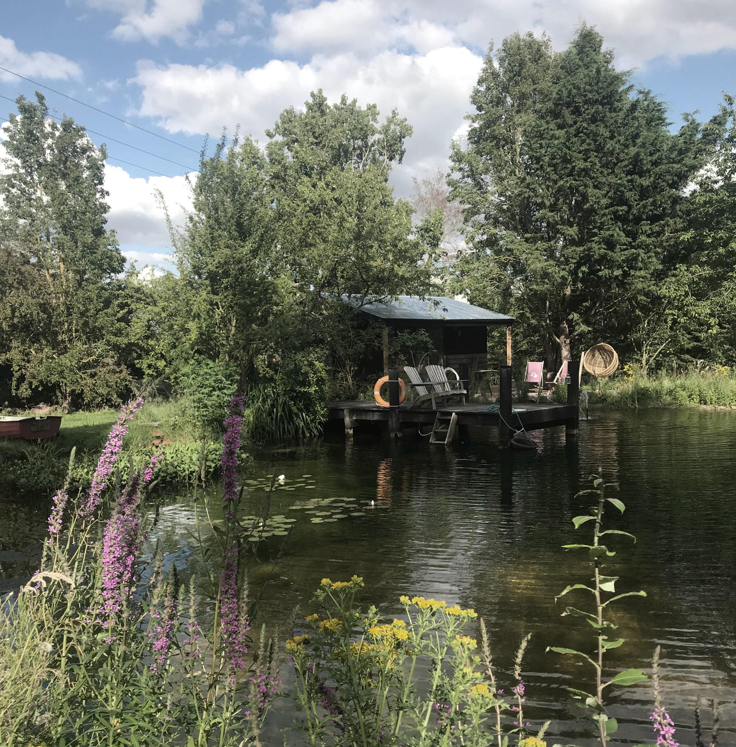 mini maison avec terrasse sur l'eau