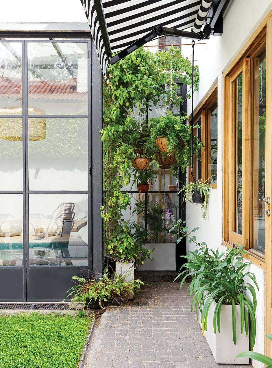 jardin avec véranda acier