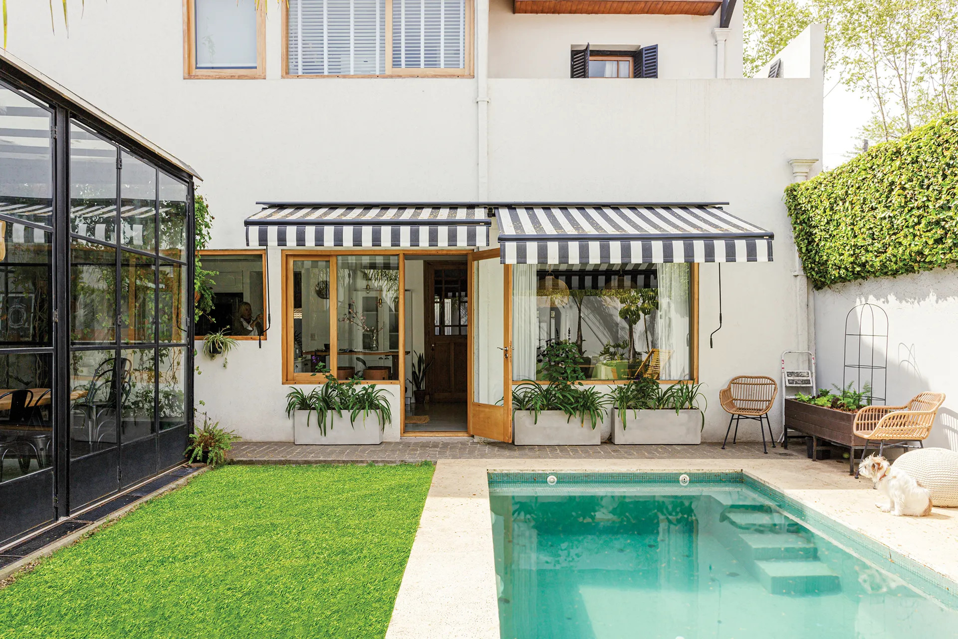 jardin avec piscine et véranda acier noir