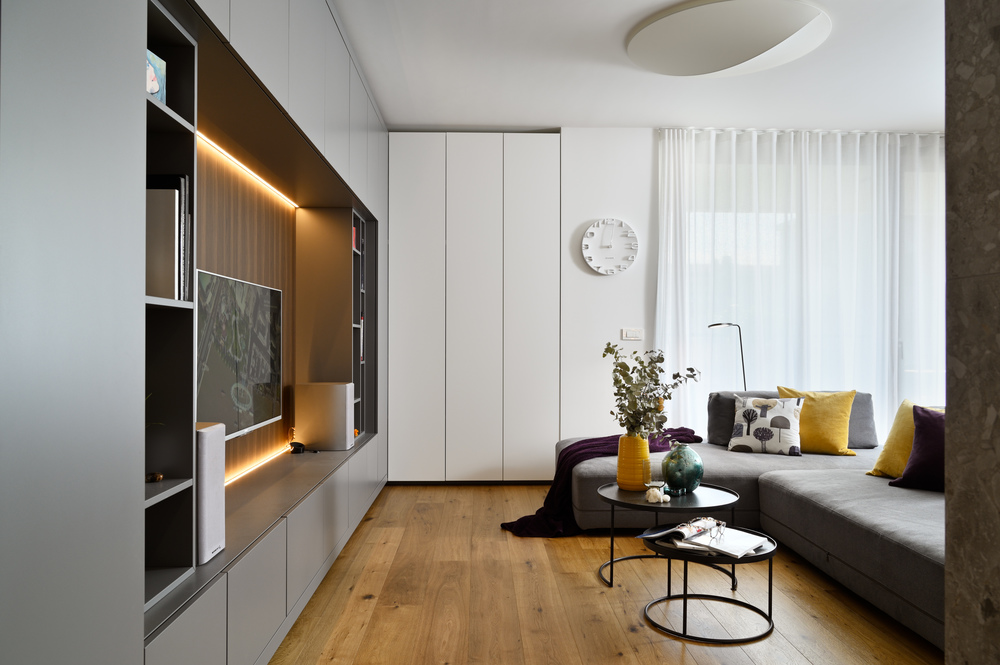 salon canapé gris décoration design