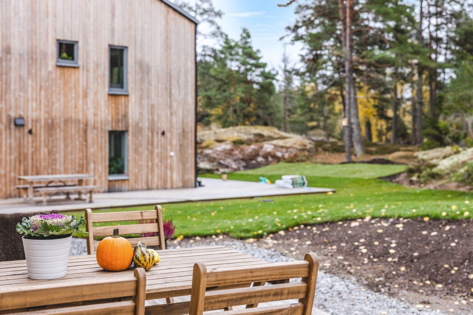jardin petite maison en bois de 51m2