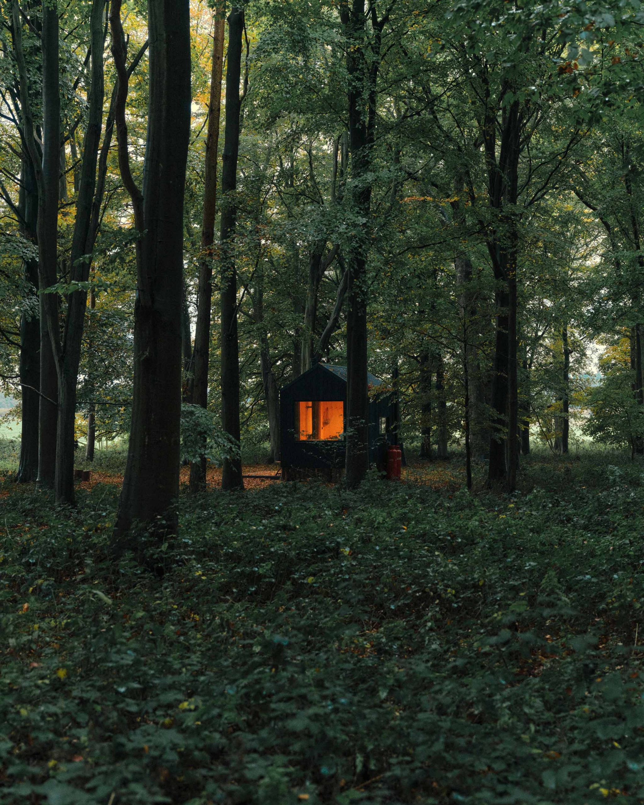 petite maison en bois petite maison en bois