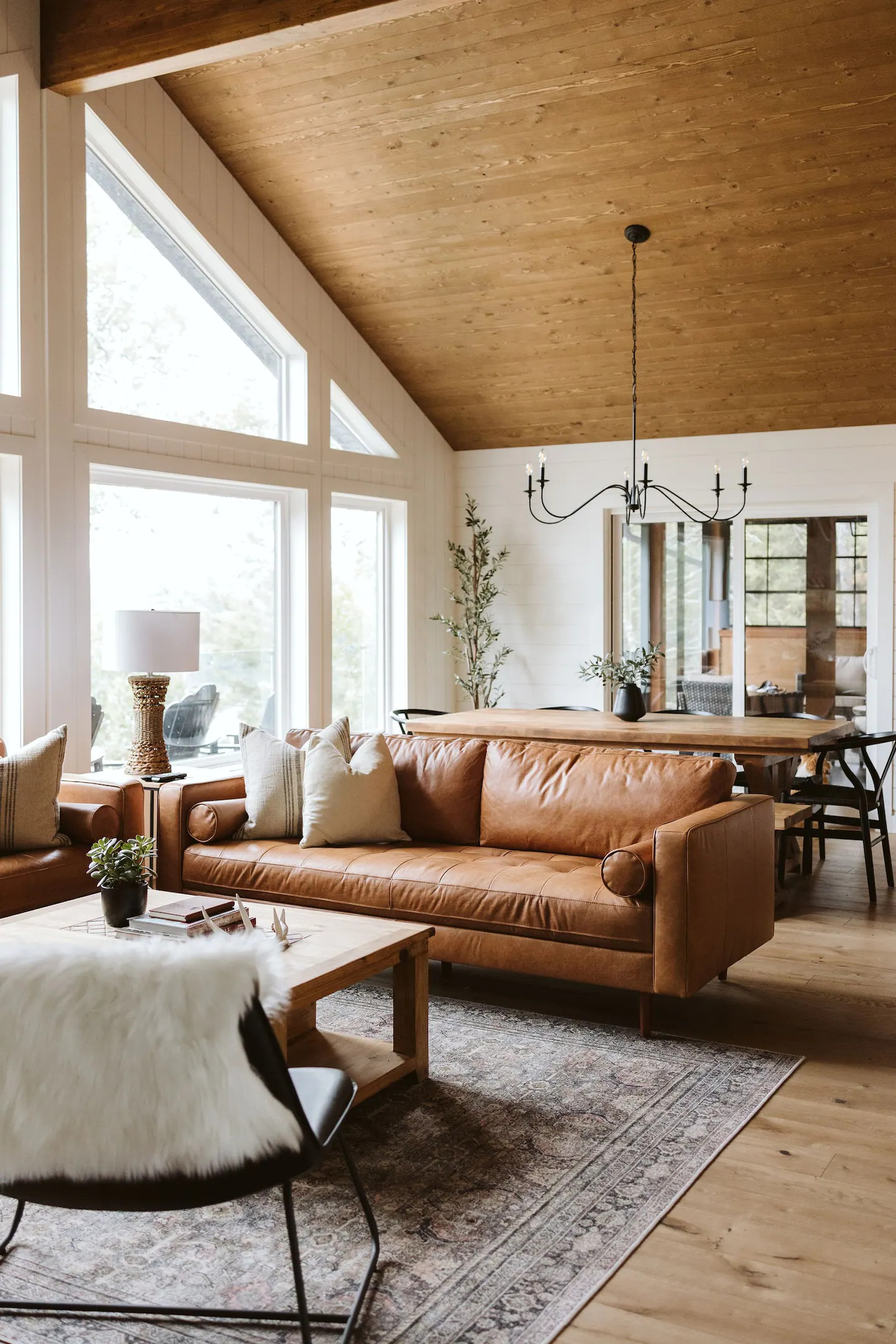 salon maison en bois