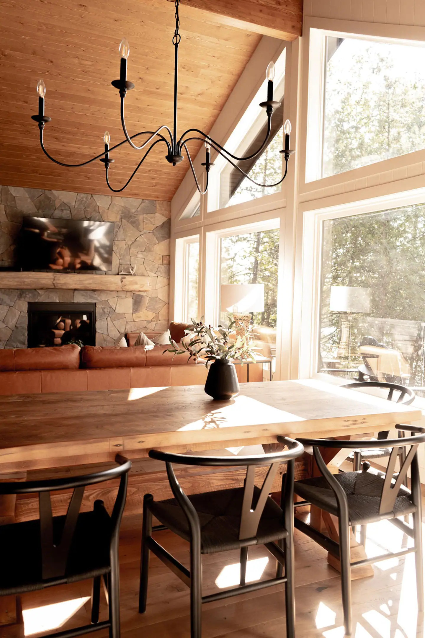 salon maison en bois