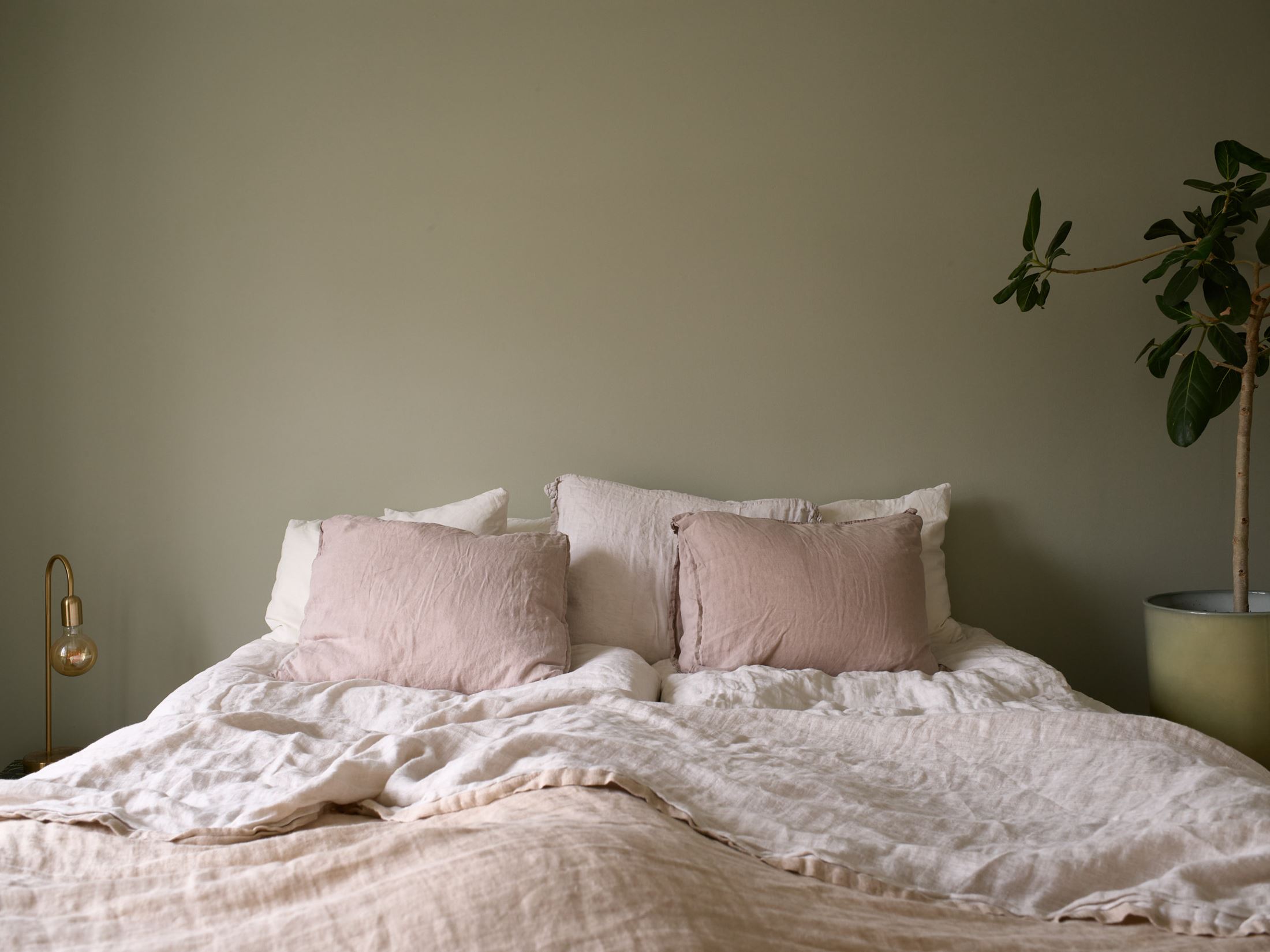 chambre verte et rose chambre verte et rose