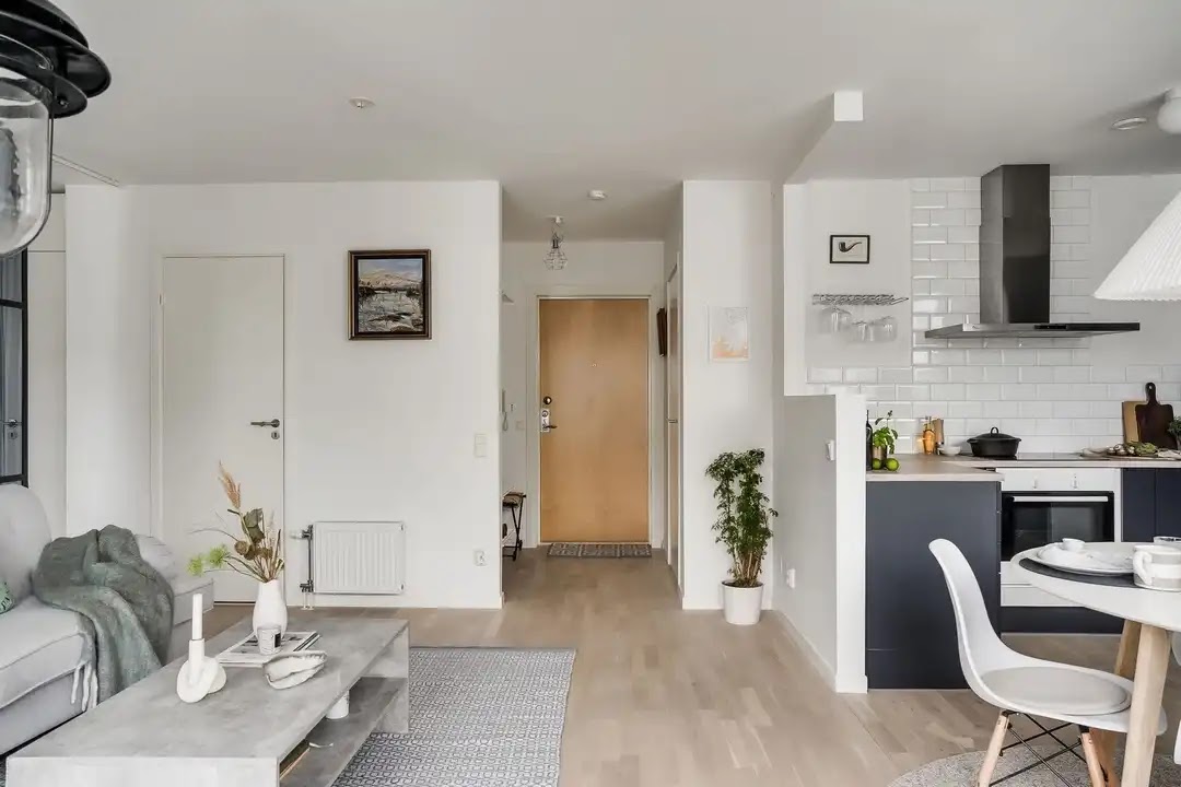 salon et salle à manger décoration scandinave