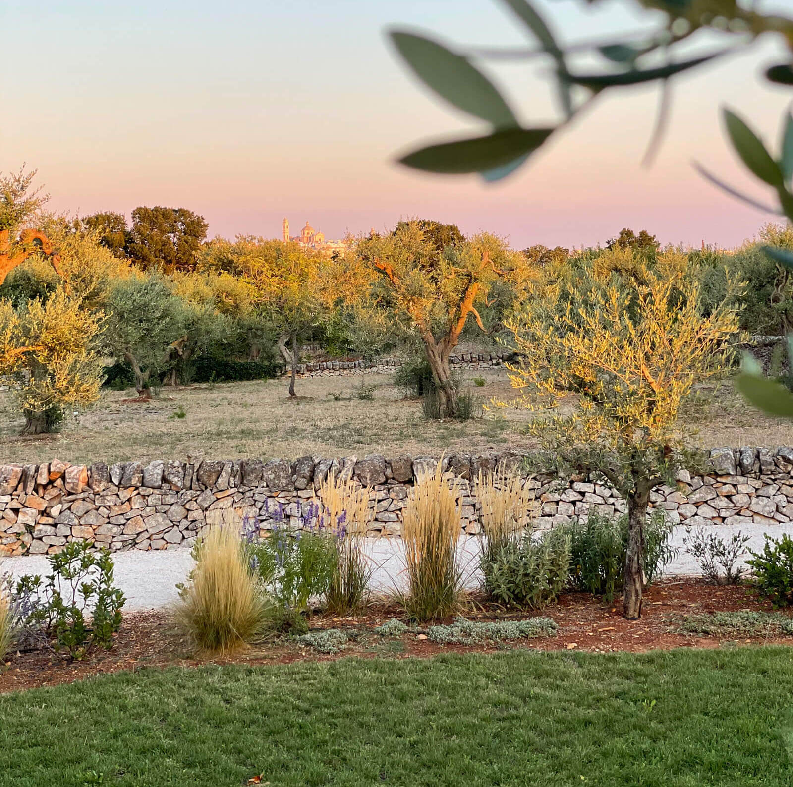 jardin méditerranéen avec oliviers Trulli del Trapetto jardin méditerranéen avec oliviers Trulli del Trapetto