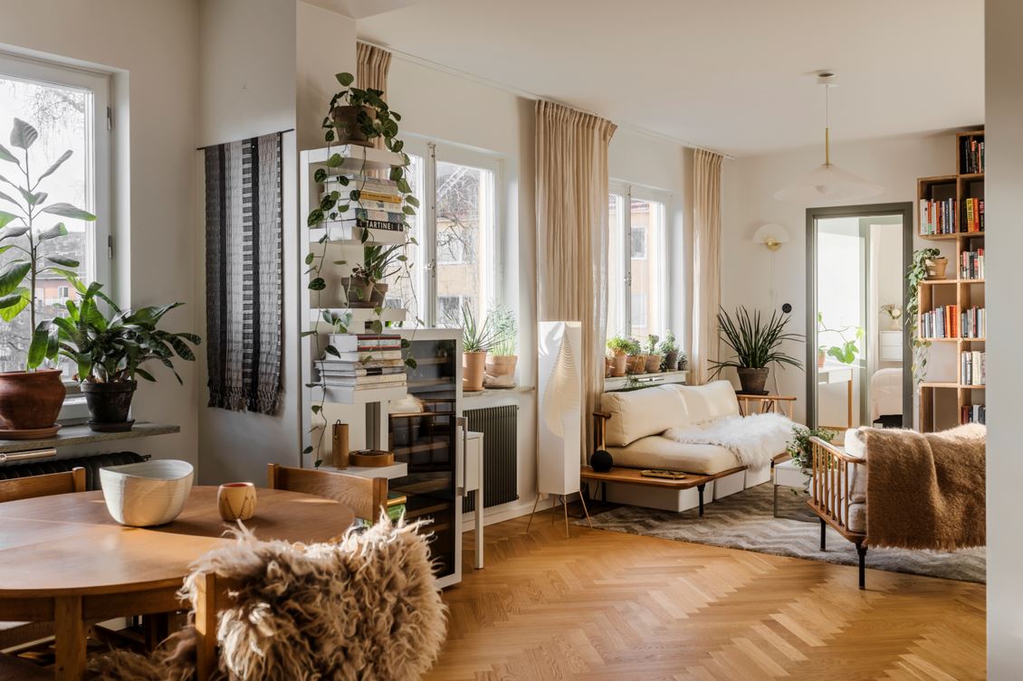 salon et salle à manger décoration contemporaine