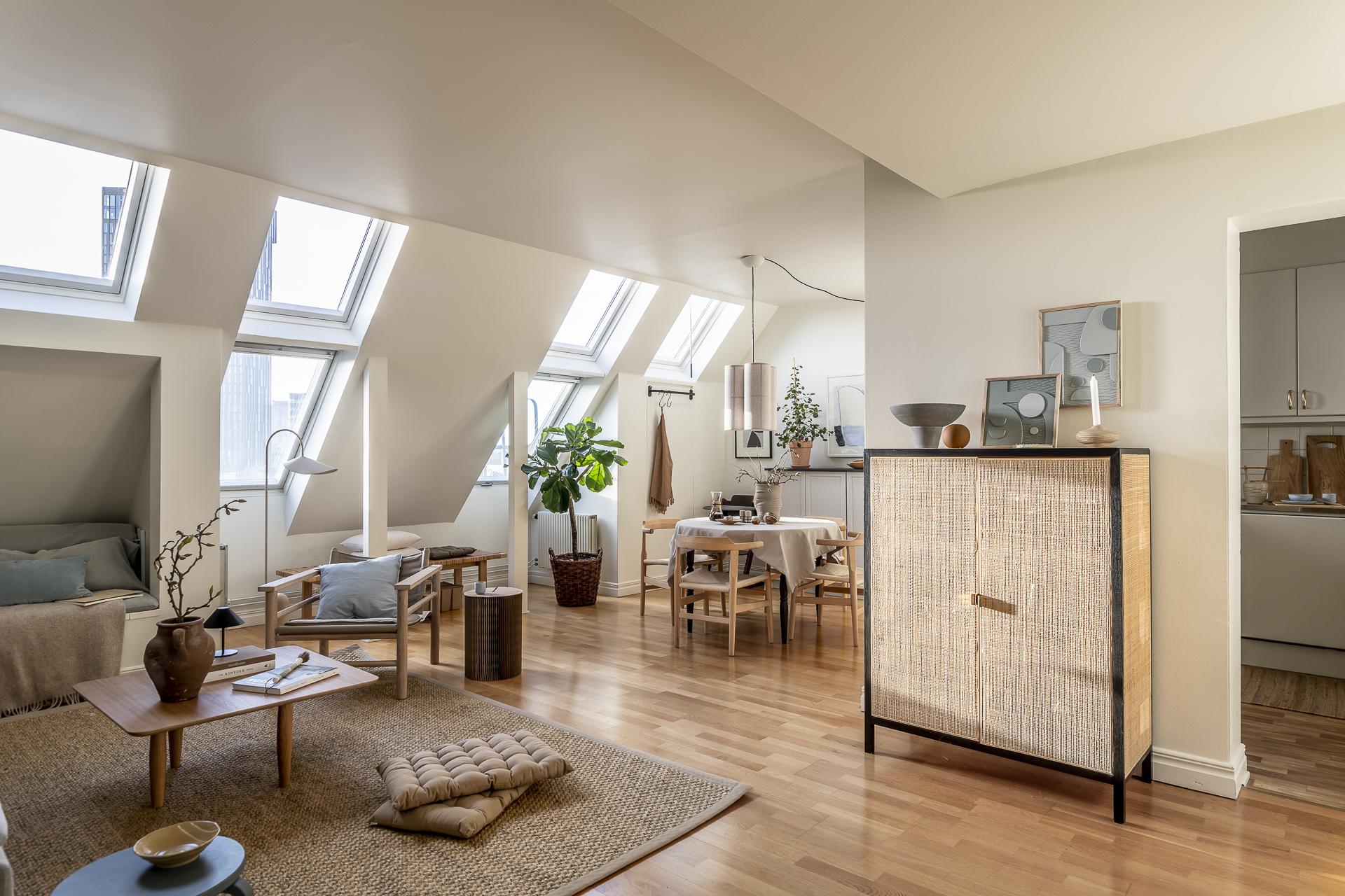 salon avec fenêtres de toit appartement mansardé