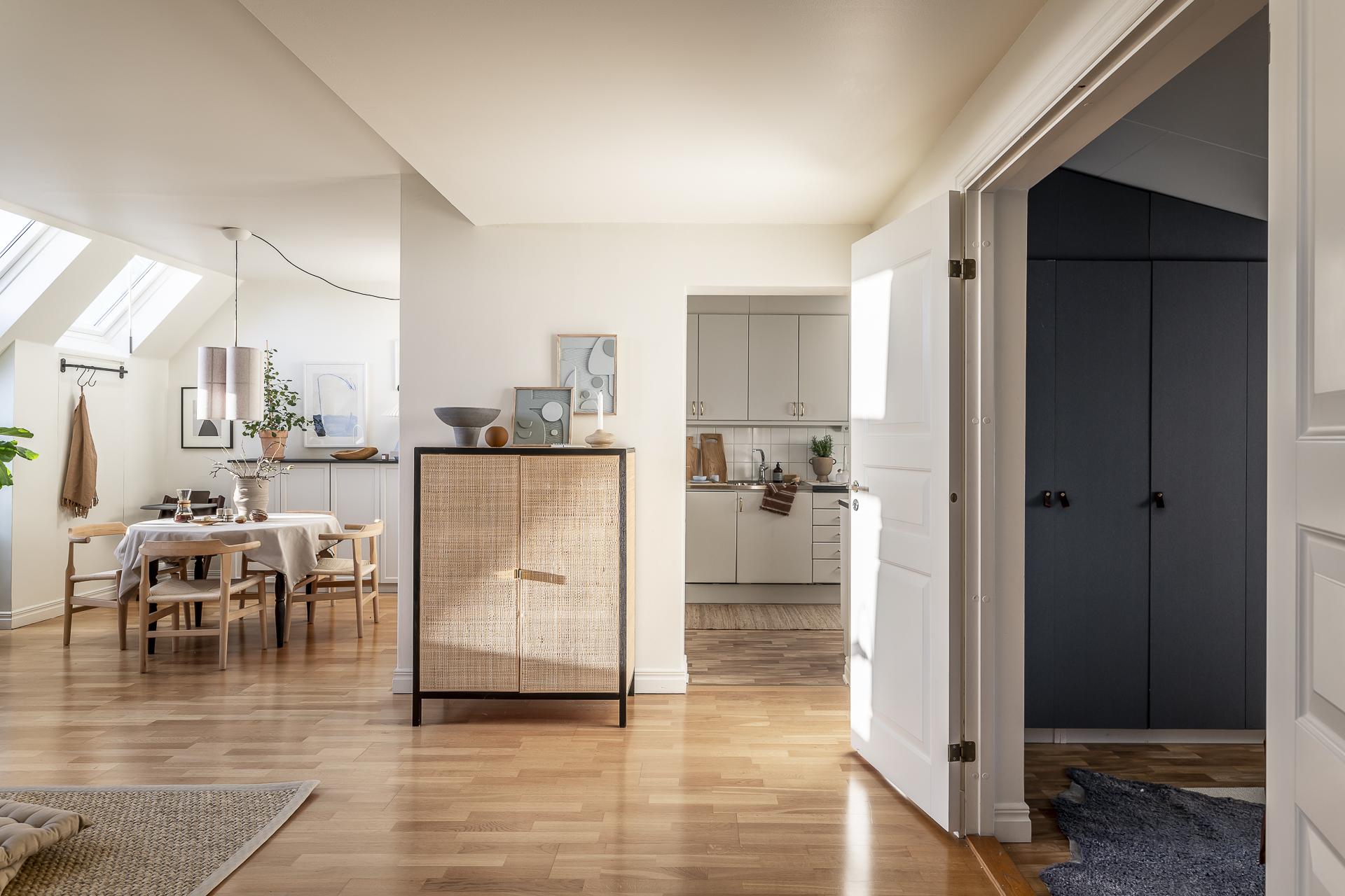 salon avec fenêtres de toit appartement mansardé