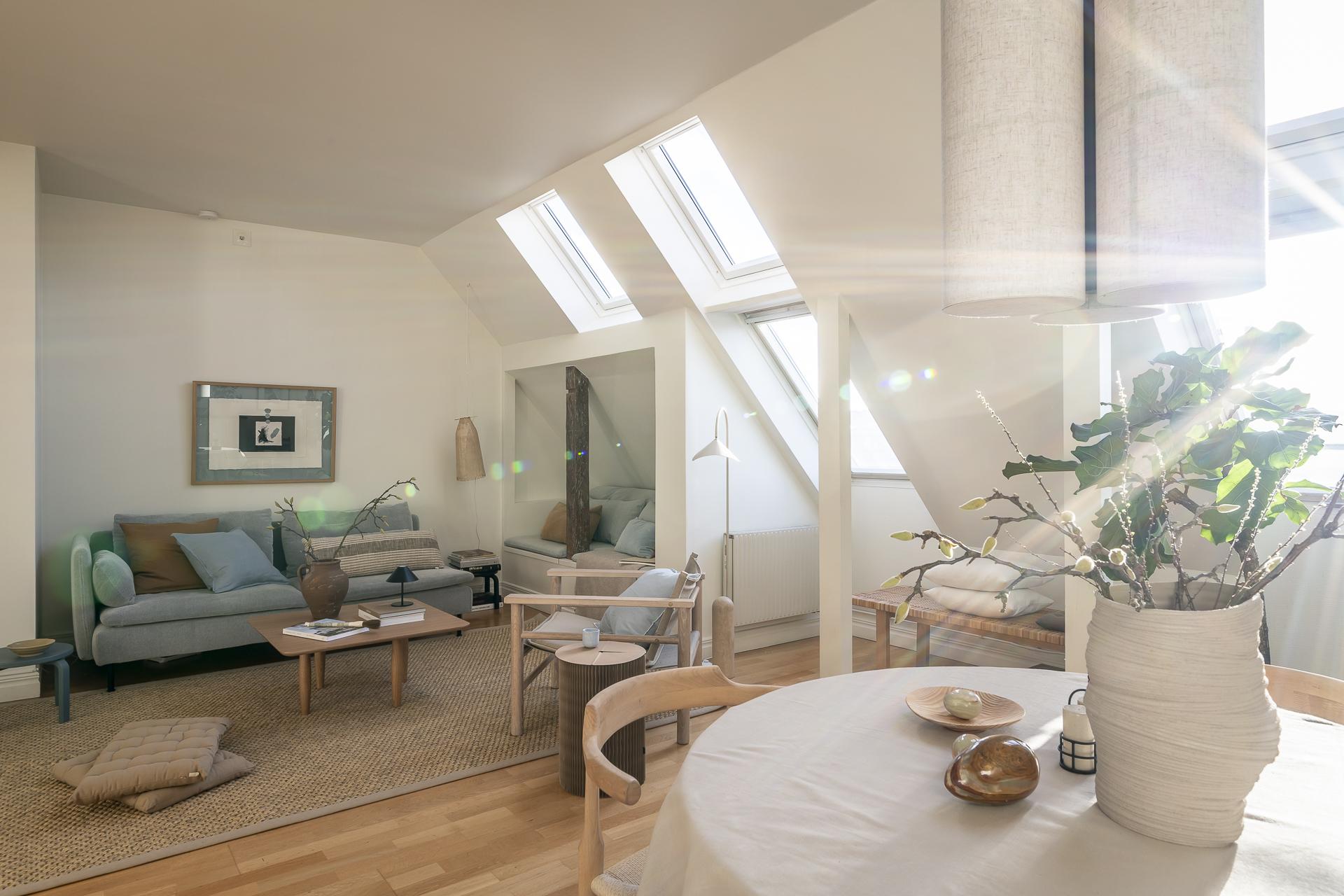 salon avec fenêtres de toit appartement mansardé