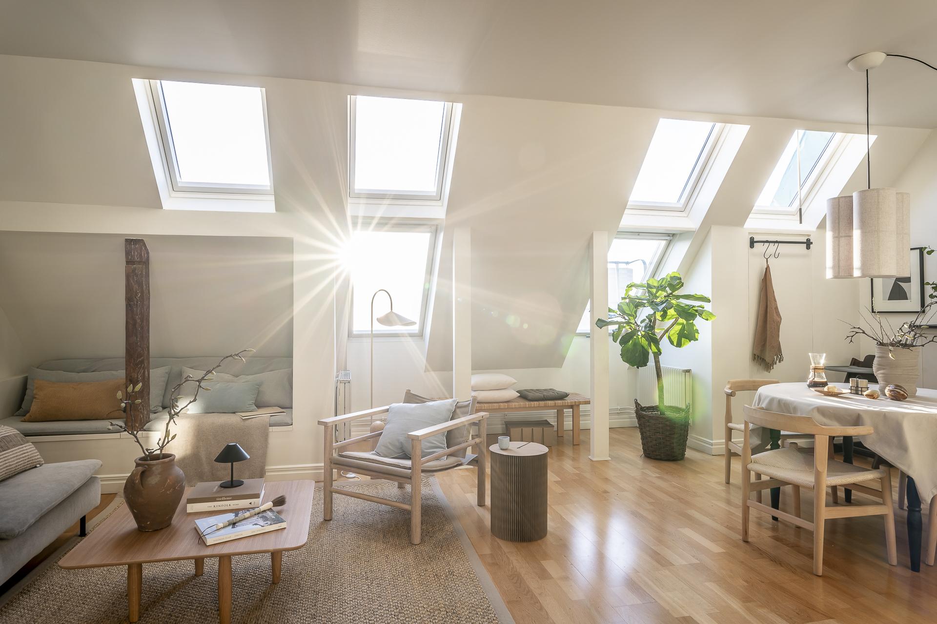 salon avec fenêtres de toit appartement mansardé
