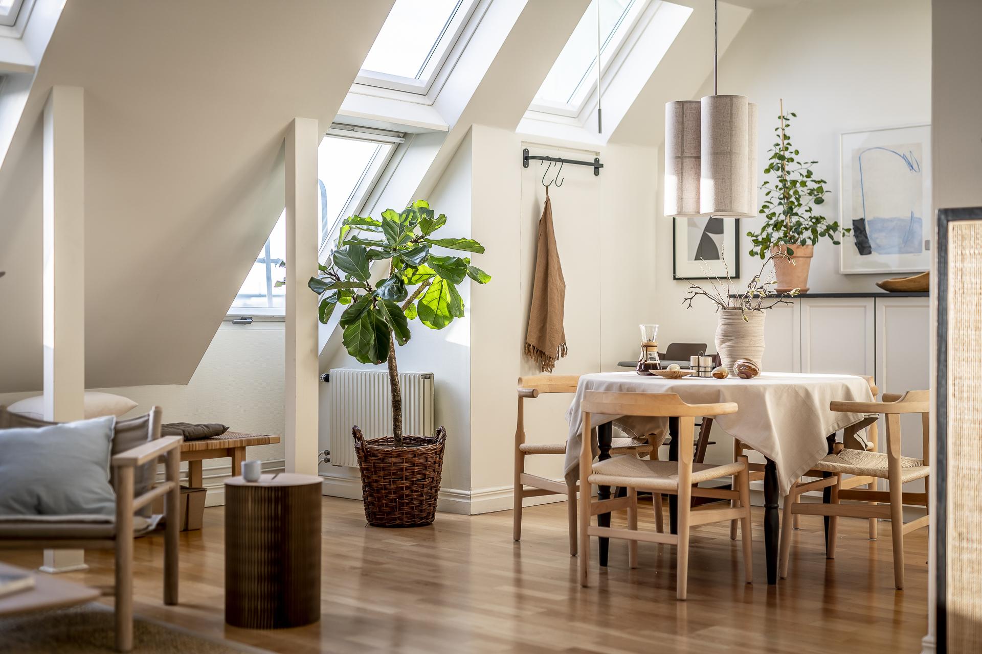 salon avec fenêtres de toit appartement mansardé