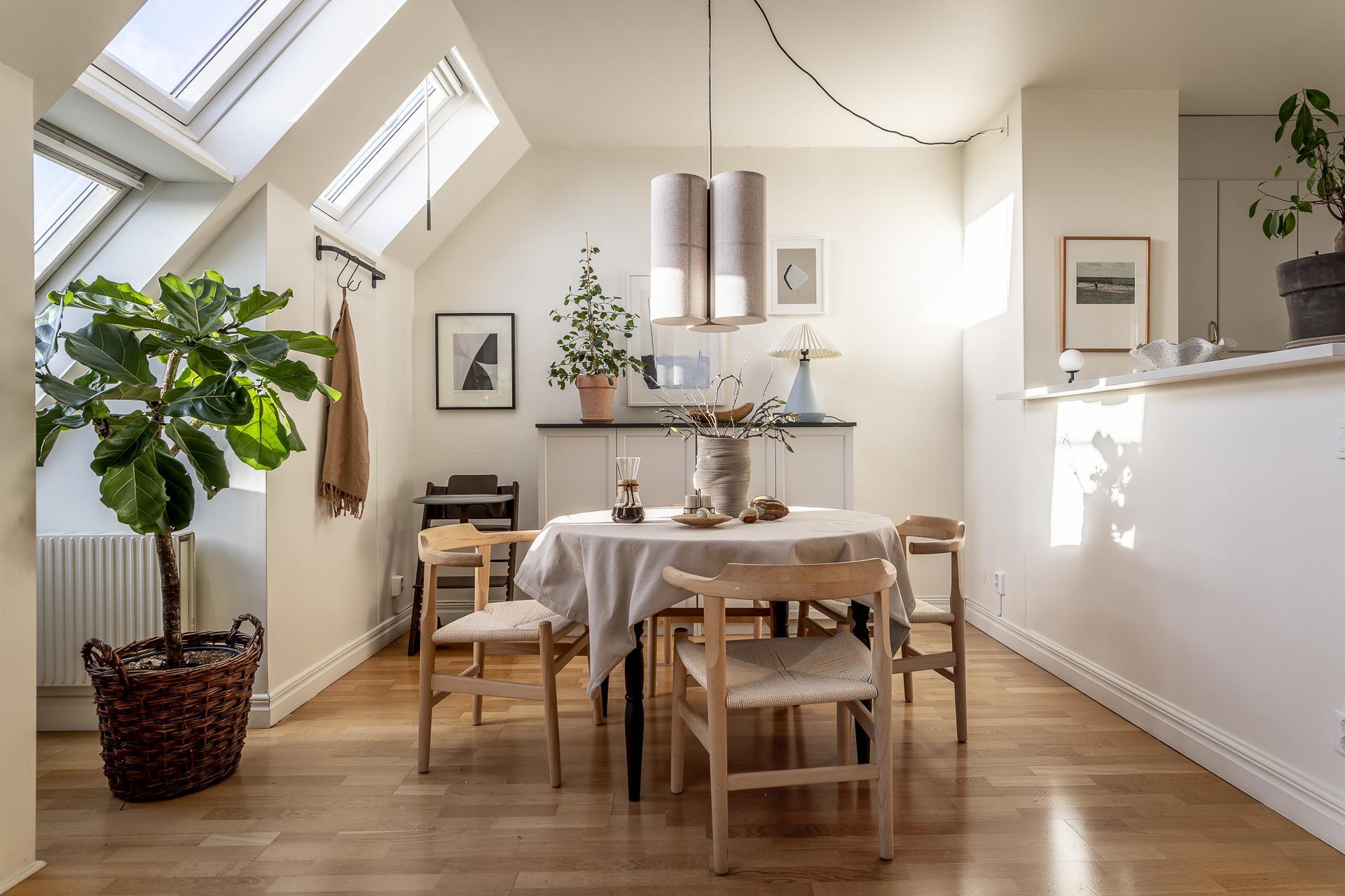 salon avec fenêtres de toit appartement mansardé