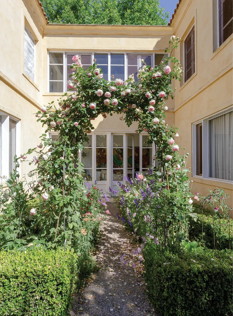 jardin avec rosiers
