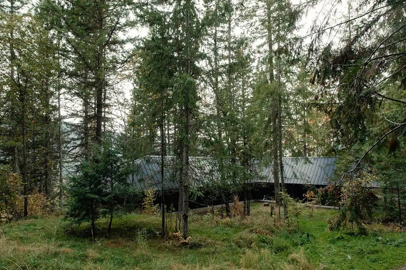 maison en bois noir