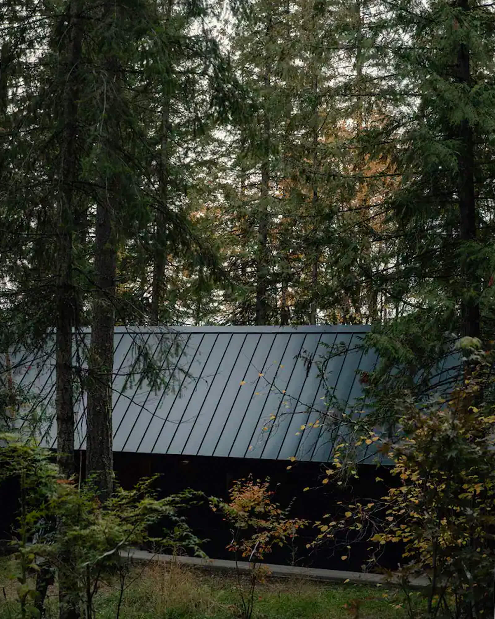 maison en bois noir