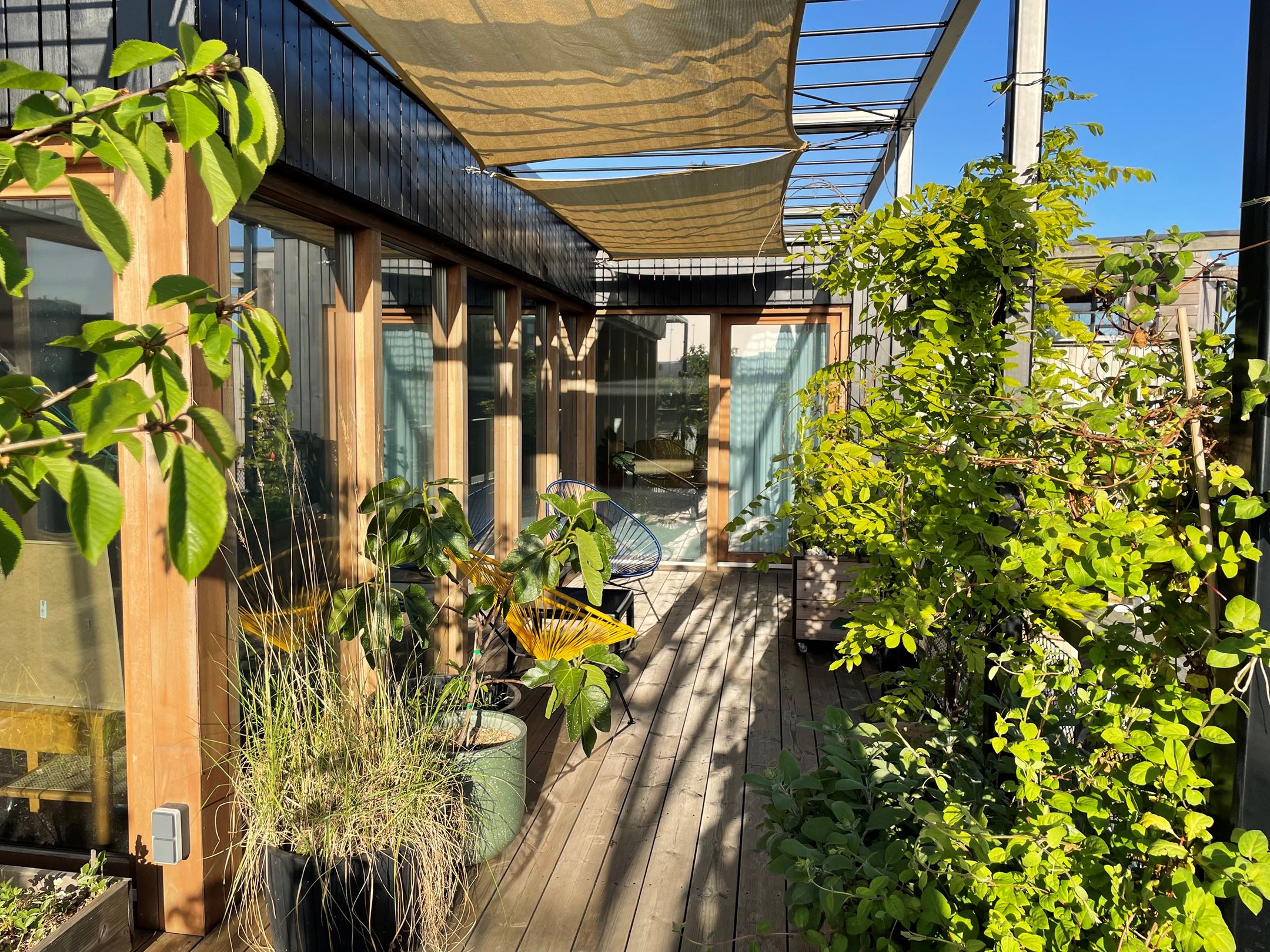 terrasse bois maison flottante