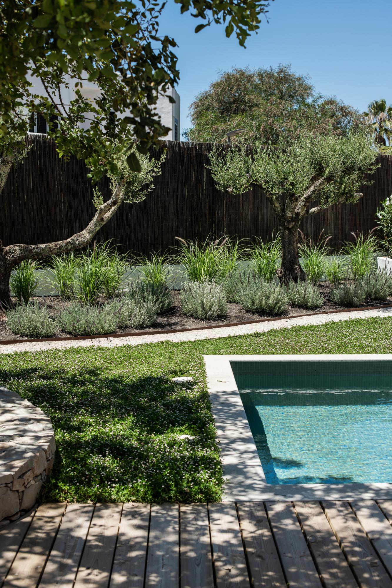 jardin xérophile