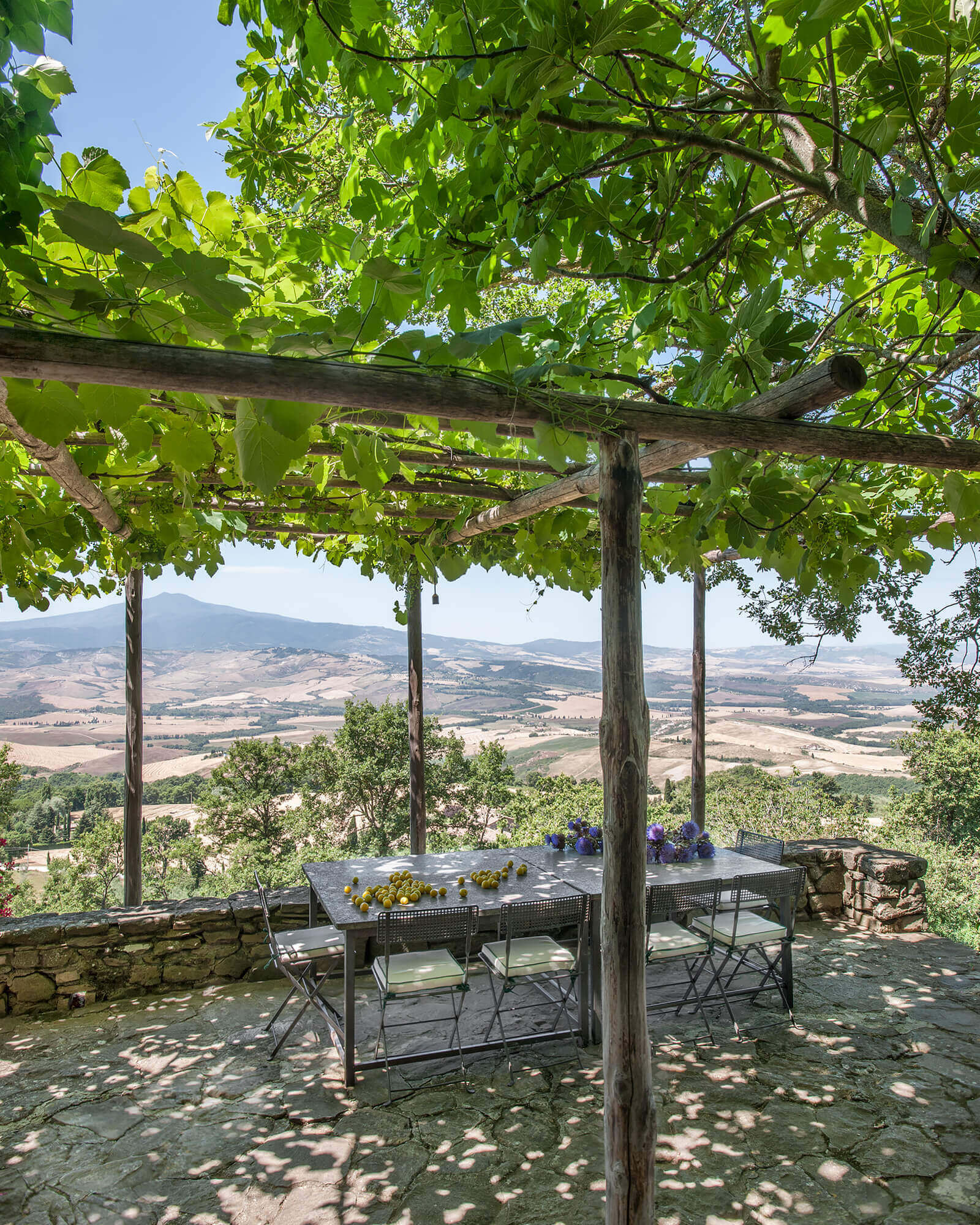 terrasse avec pergola bois et glycine maison en pierres