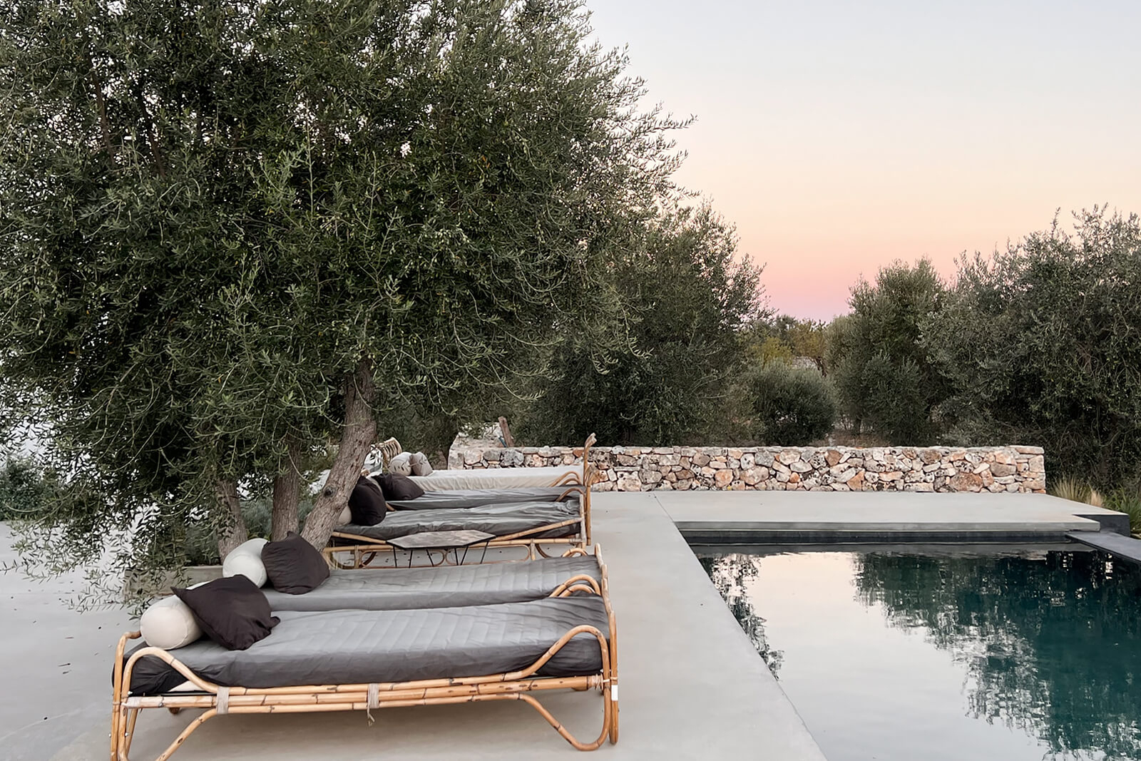 jardin avec piscine et oliviers jardin avec piscine et oliviers