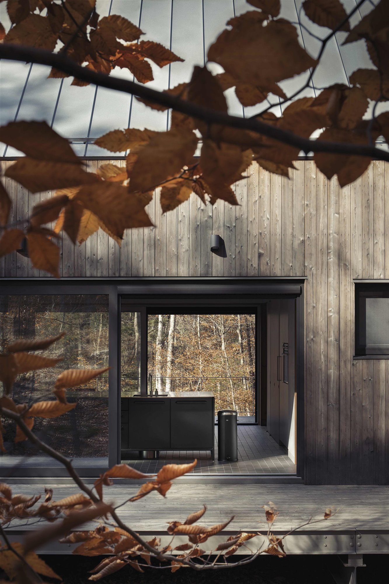 maison en bois entourée d'arbres