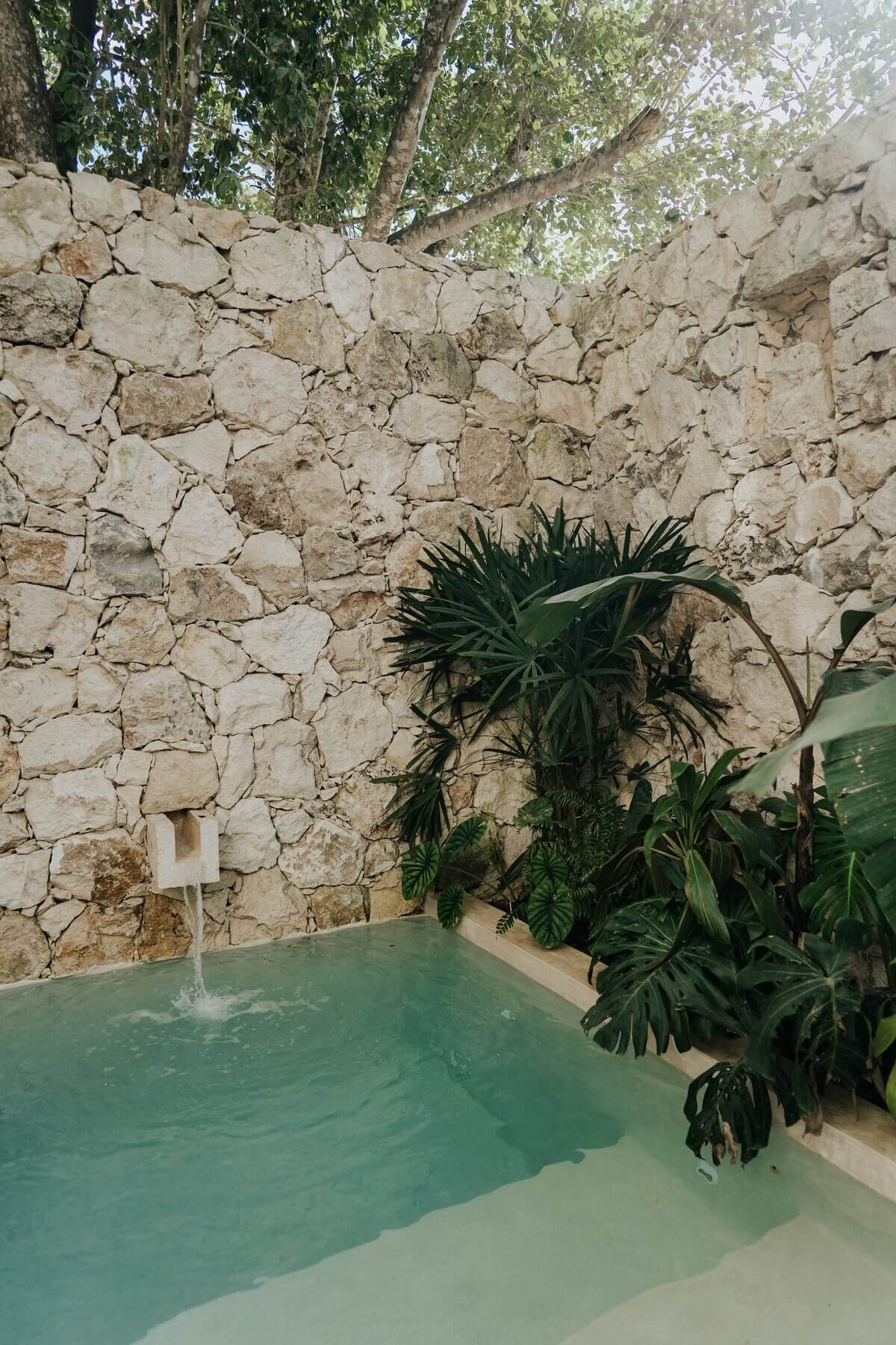 appartement avec piscine privée dans jardin appartement avec piscine privée dans jardin