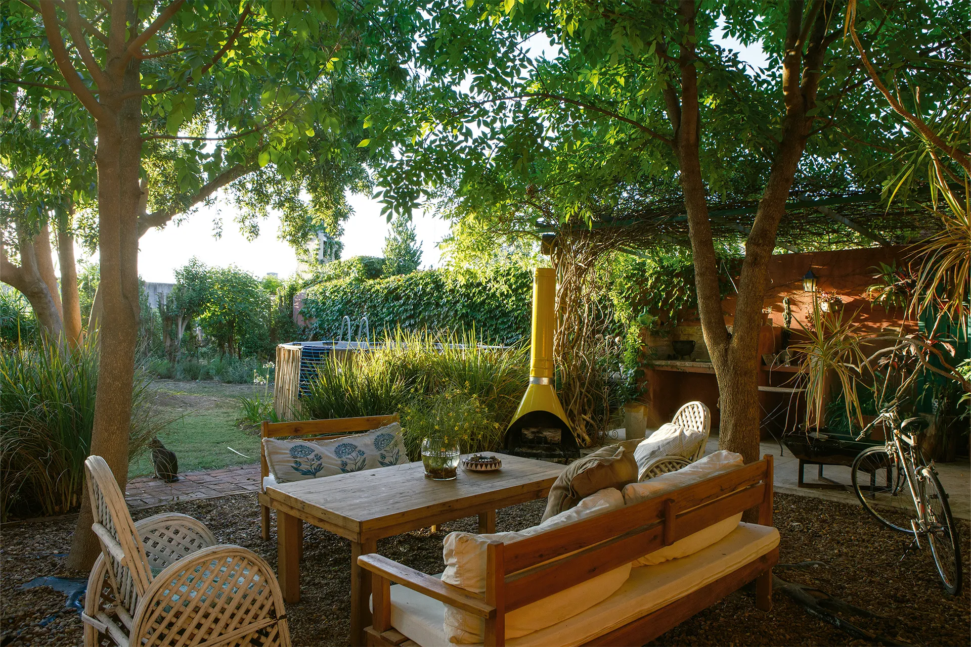 jardin avec grands arbres