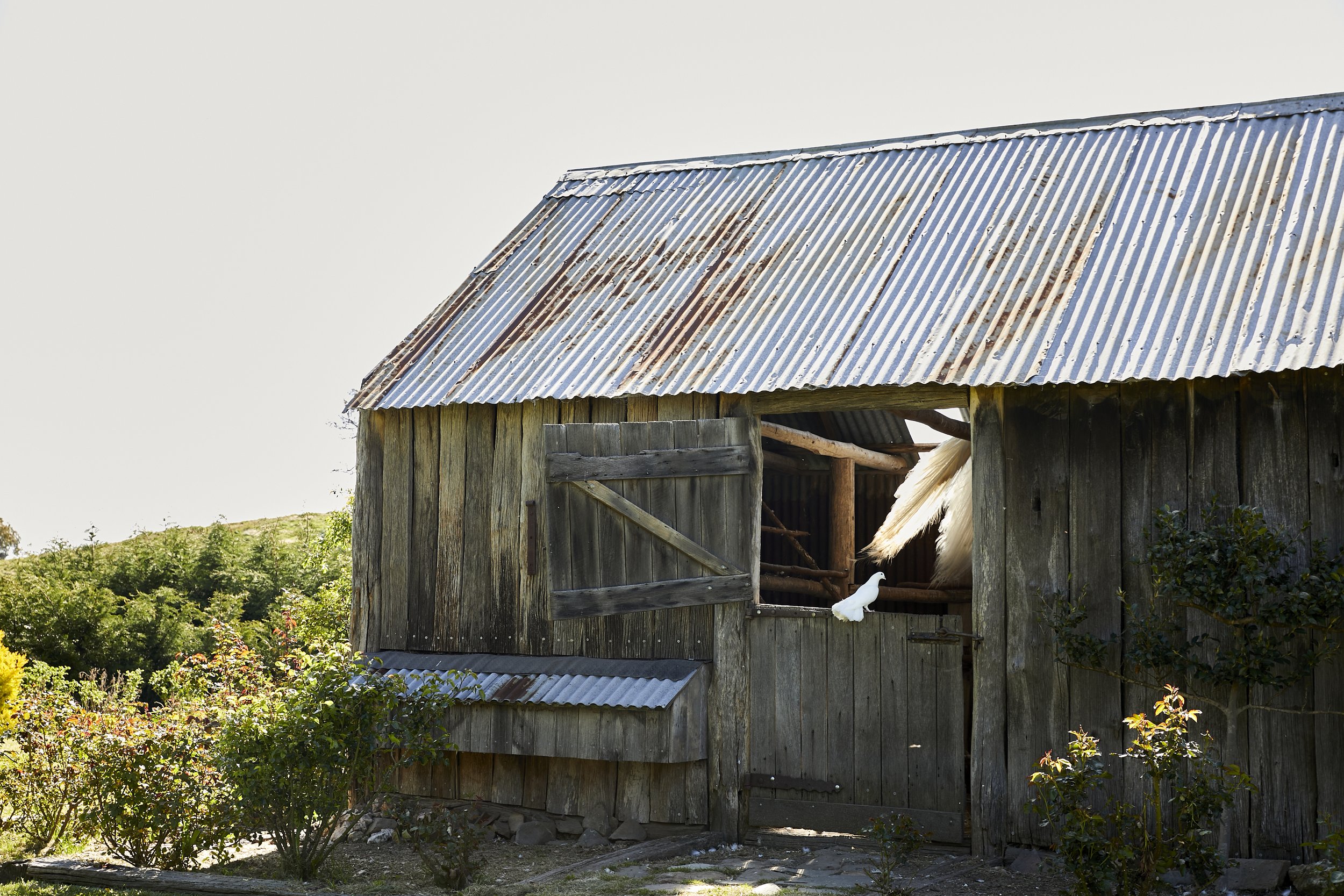 ancien bâtiment agricole