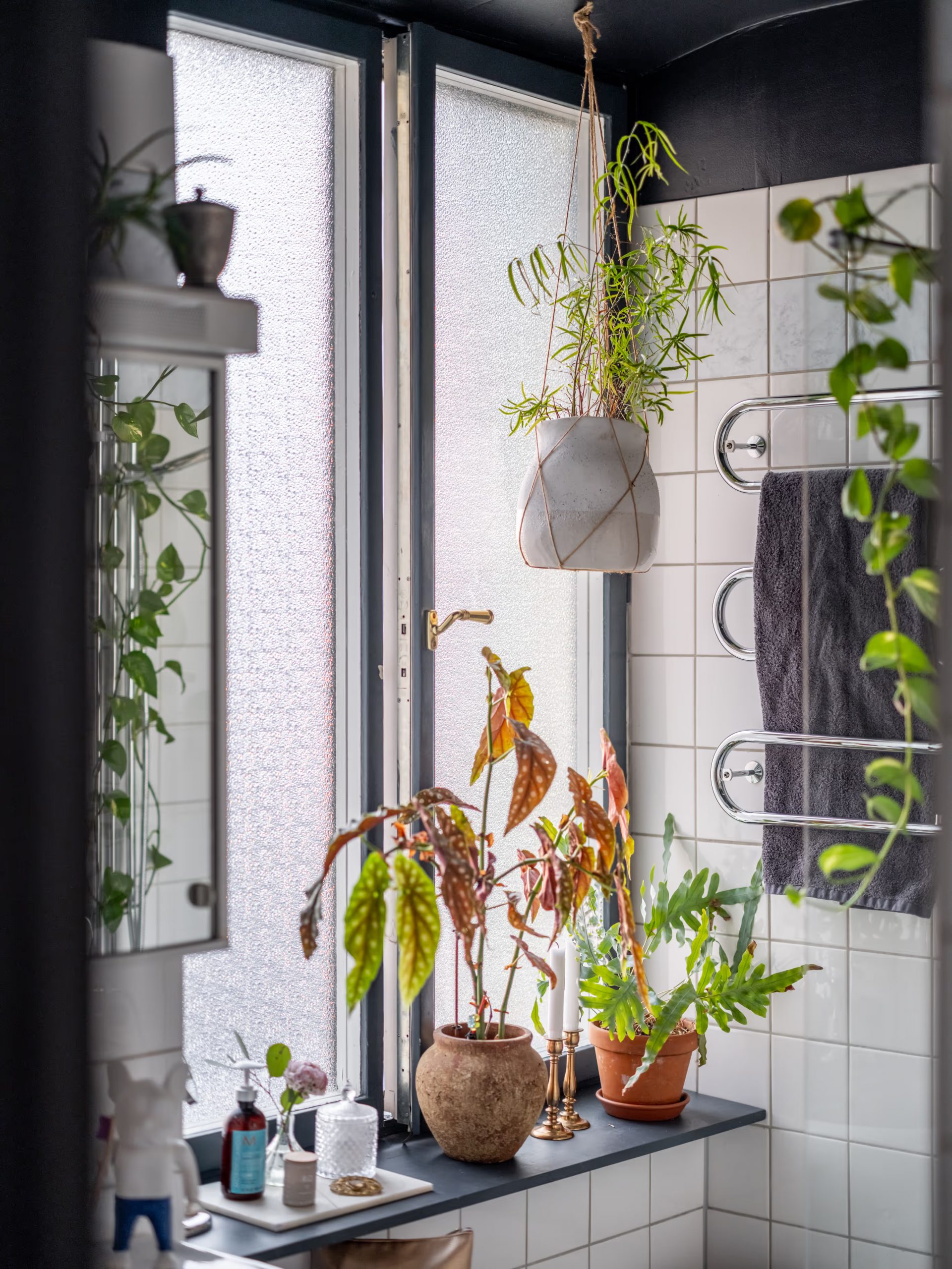 salle de bain avec plantes vertes salle de bain avec plantes vertes